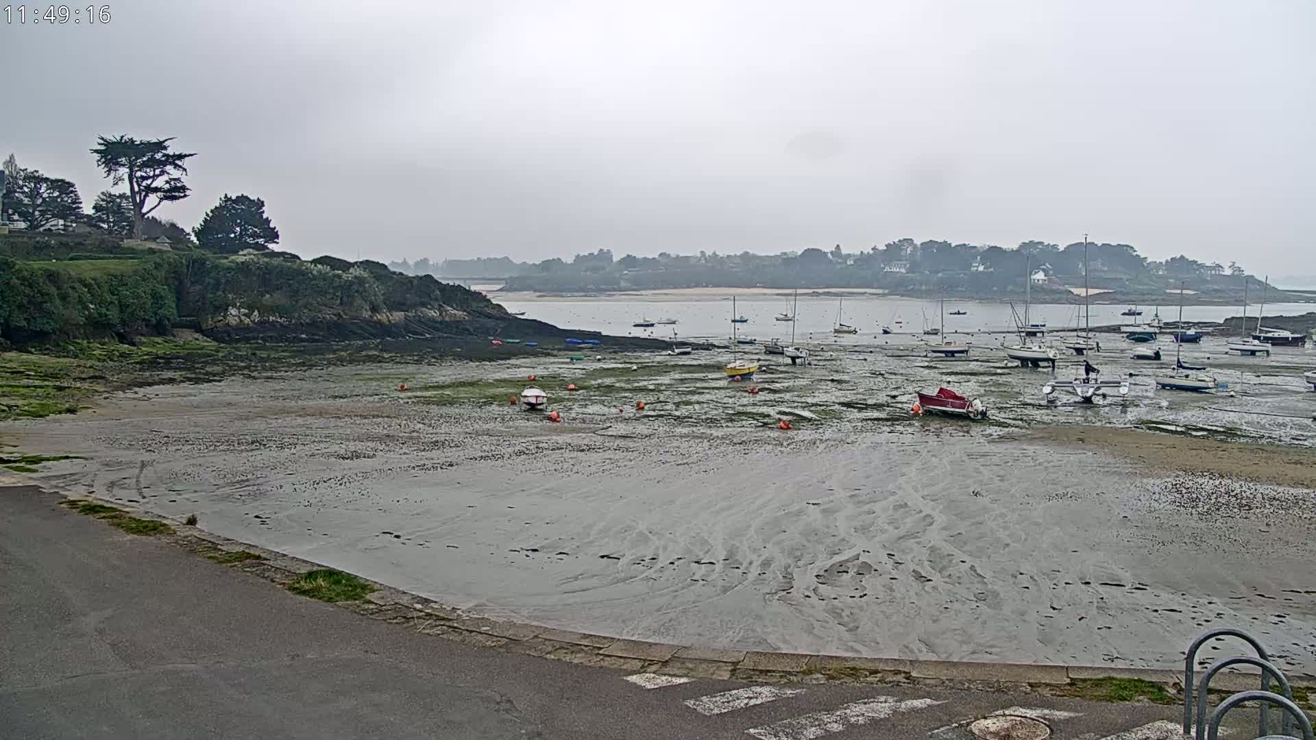 A mostly cloudy day reveals a tidal flat with numerous boats at rest, a rocky shoreline with green vegetation, and a distant line of houses and trees across calm water.