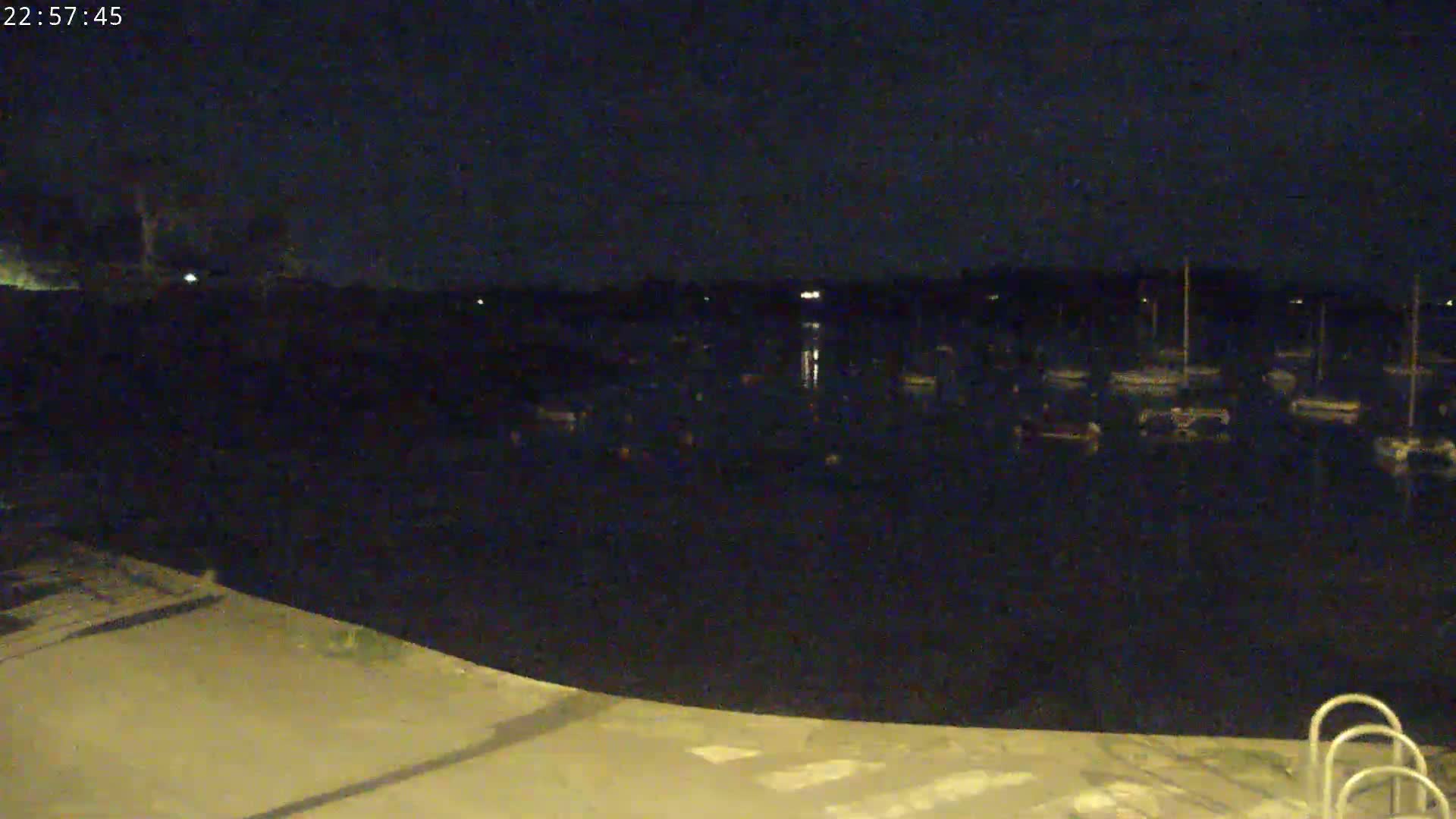 A nighttime view of a dark body of water with numerous boats moored, seen from a paved area with a ladder in the foreground.