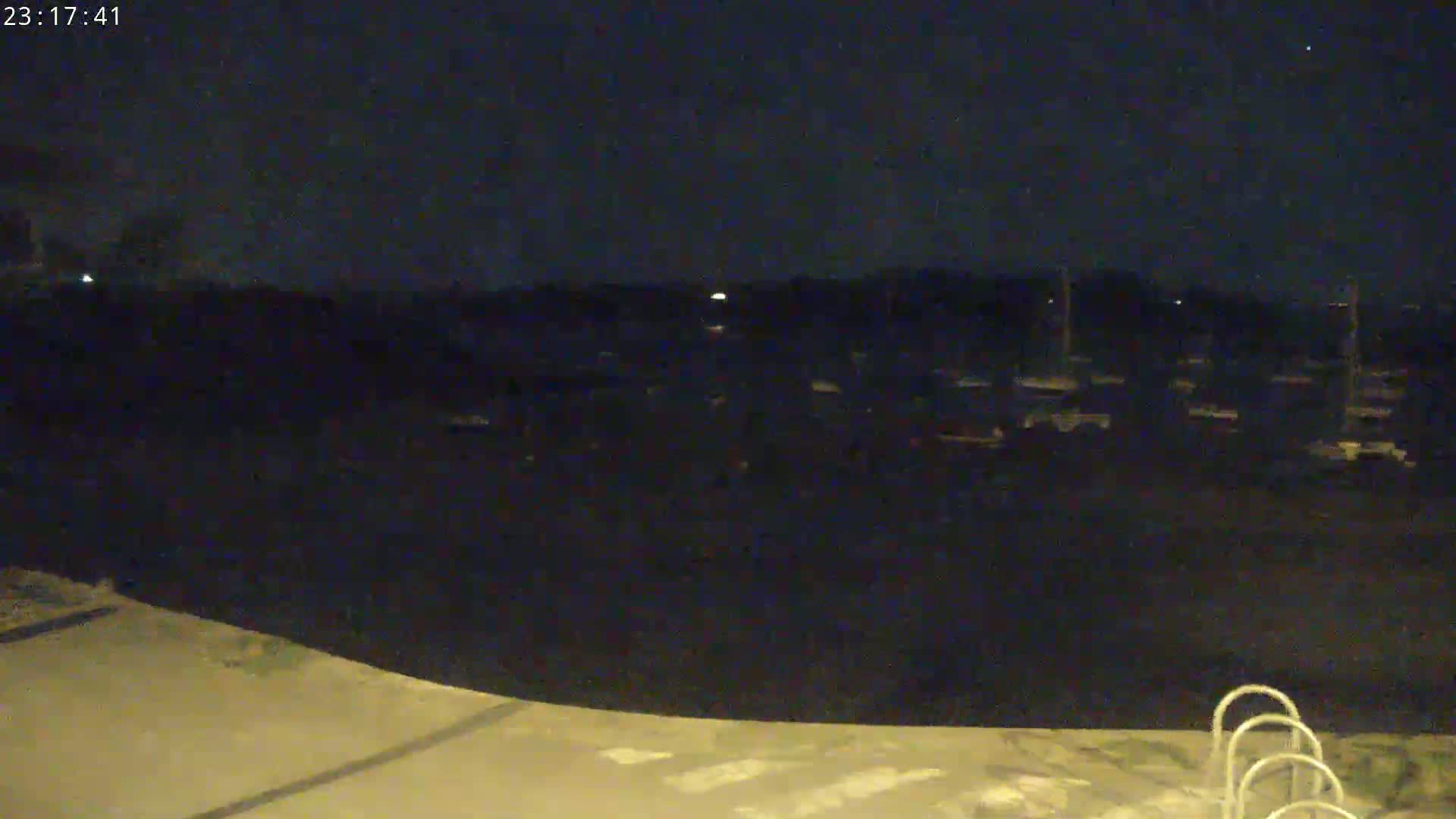 A nighttime view of a dark body of water with numerous boats docked, a paved area in the foreground, and a metal ladder partially visible.