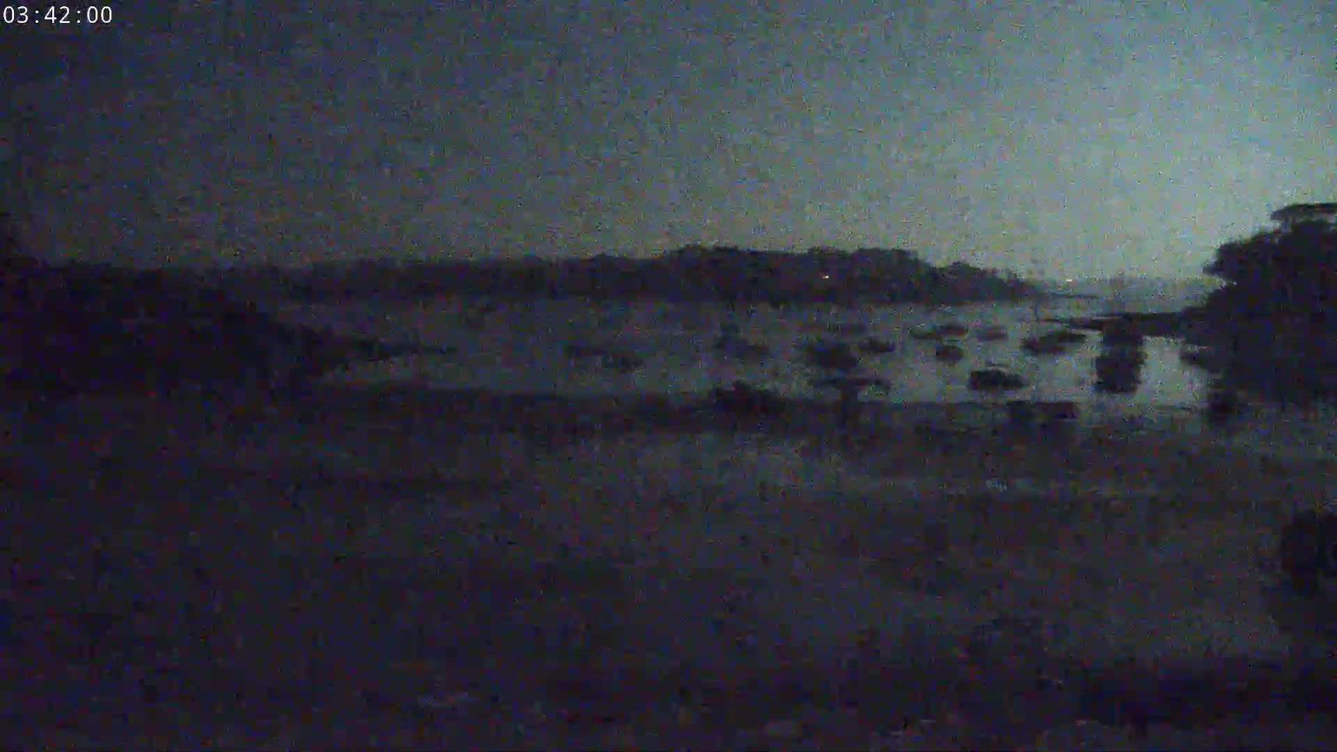 A dark, nighttime view shows a calm body of water with several boats, a shoreline, and some trees.