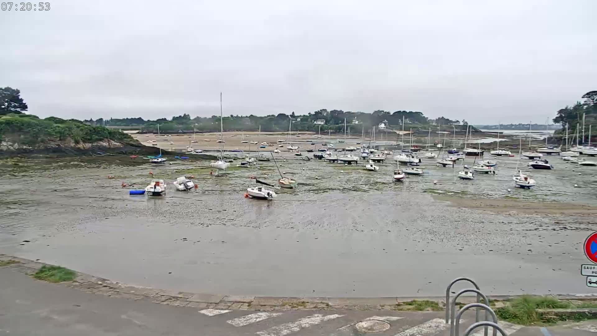 Numerous sailboats are grounded on a tidal flat in a calm, overcast harbor, near a small, green, rocky headland.