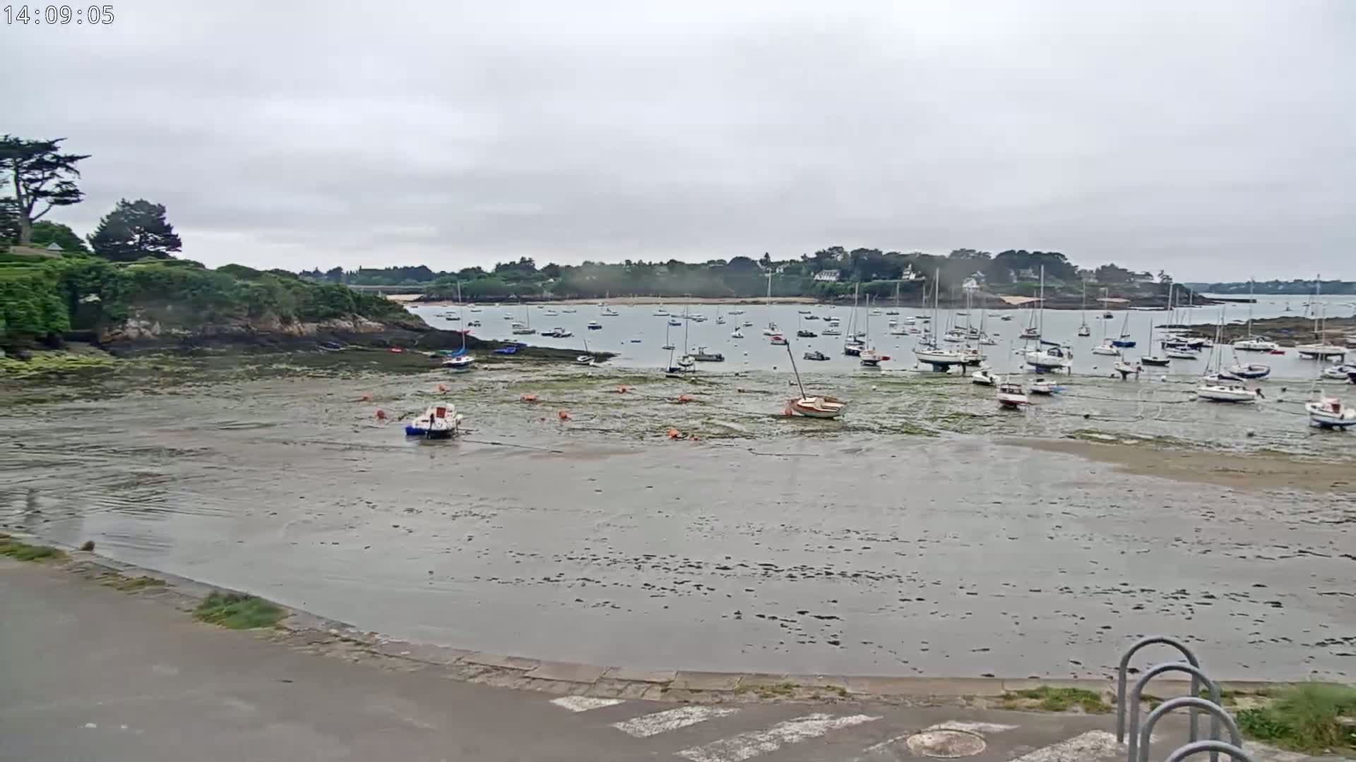 Many sailboats are moored in a calm, overcast harbor at low tide, surrounded by green vegetation and a rocky shoreline.