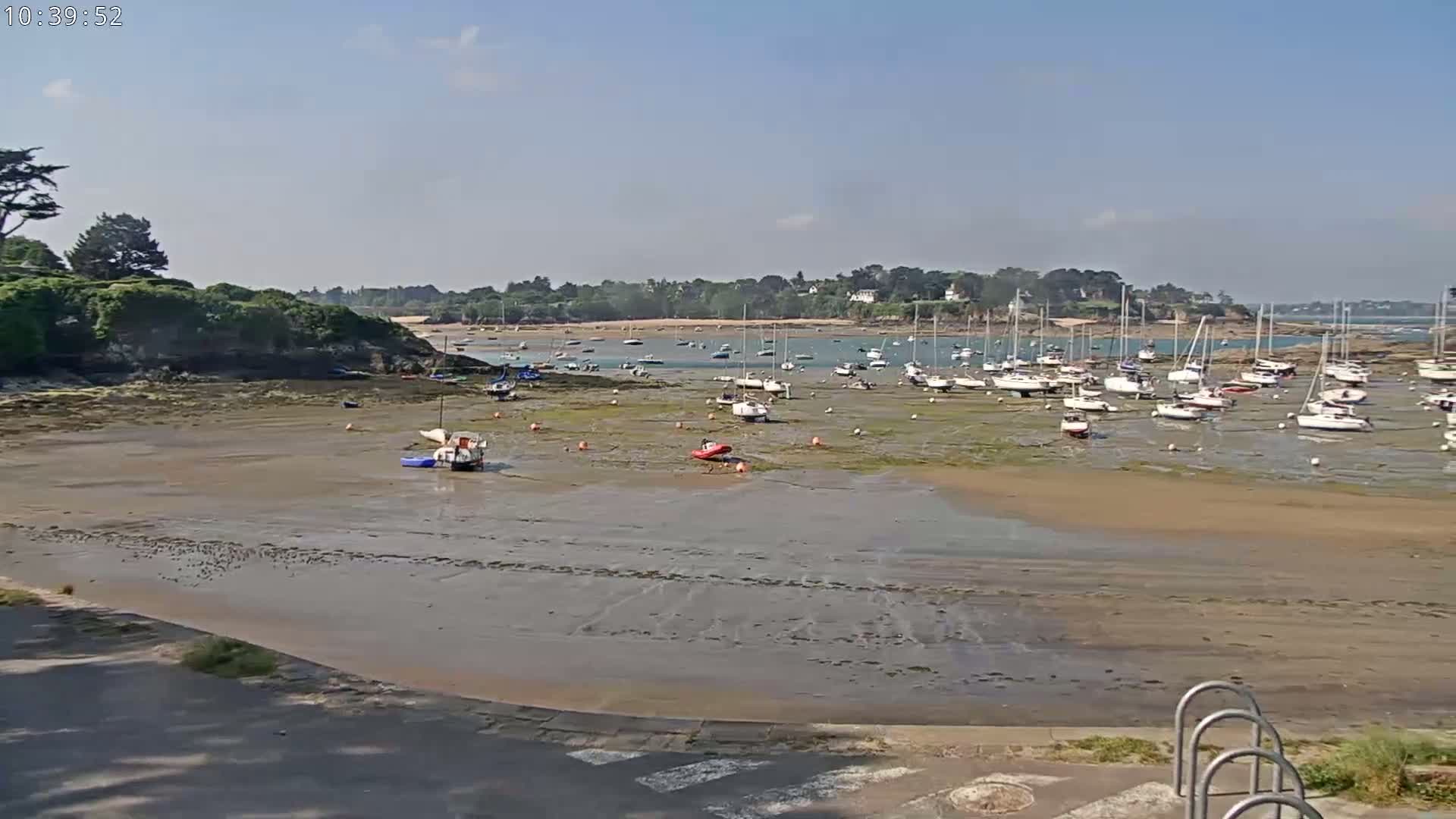 Many sailboats are grounded on a wide, exposed, sandy seabed at low tide, under a mostly clear sky.