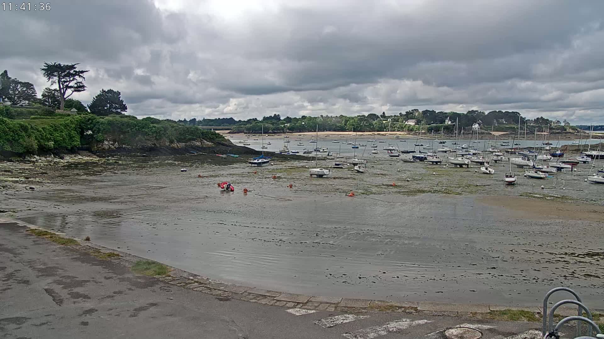 Many sailboats are moored in a shallow, muddy harbor under a cloudy sky.