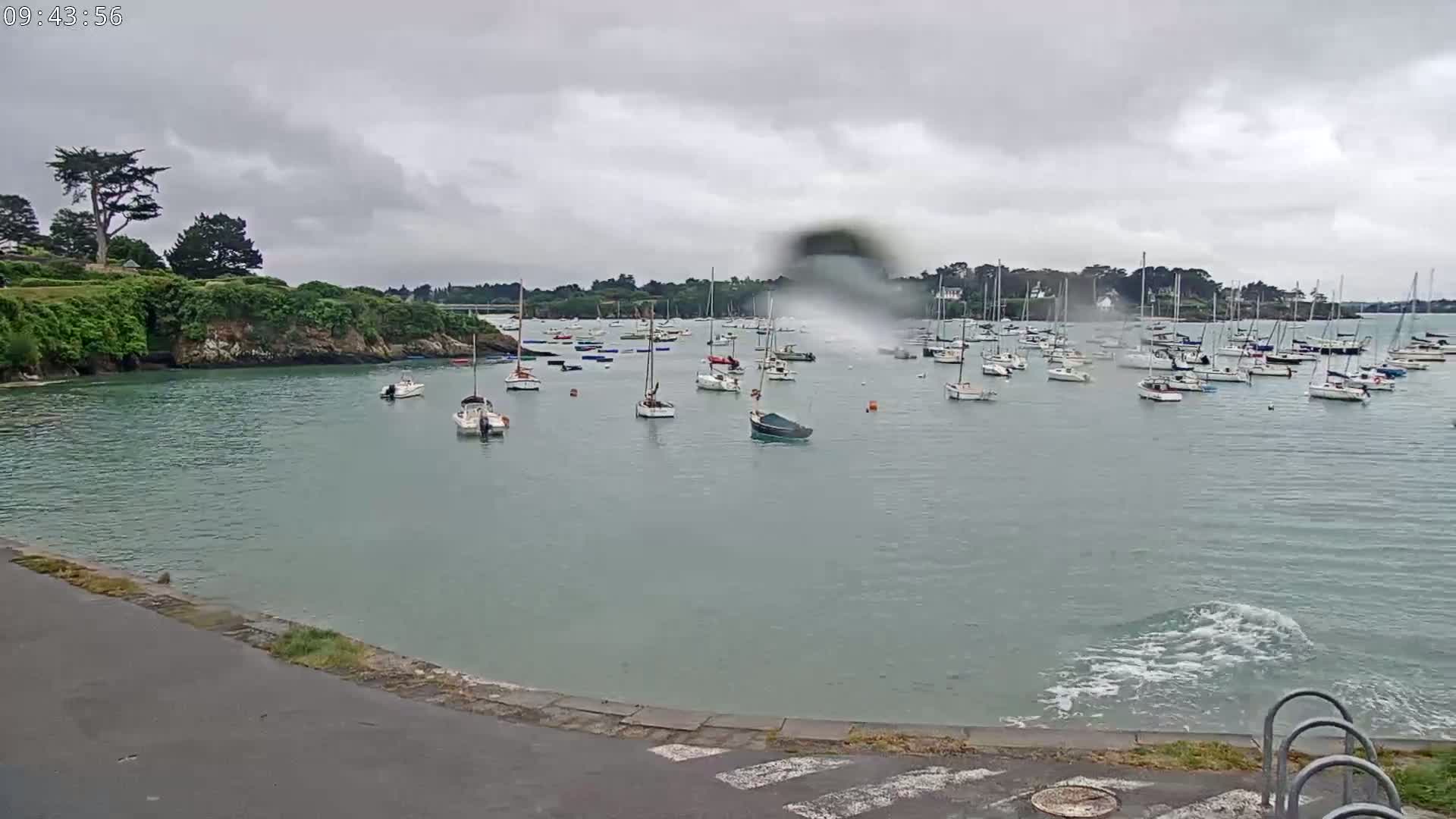 Many sailboats are moored in a calm bay under an overcast sky.