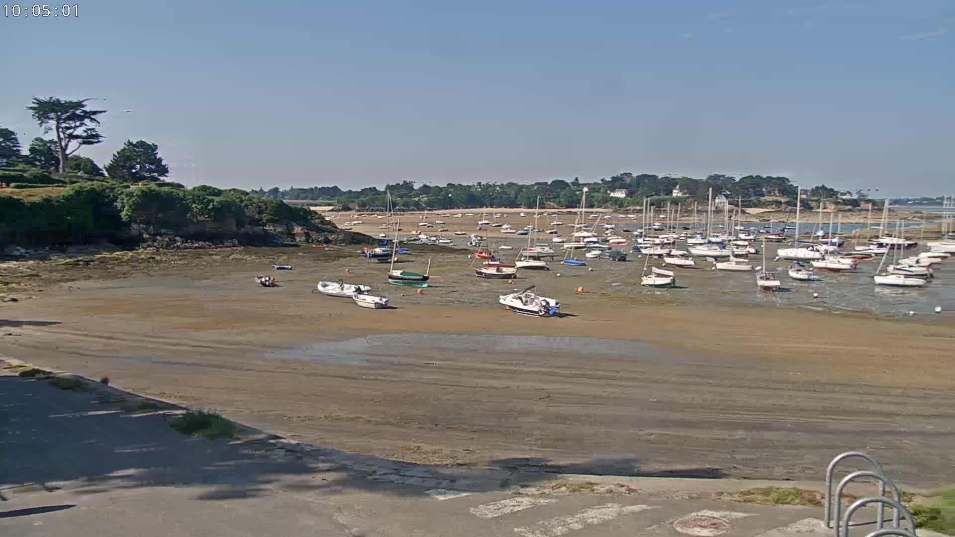 Many sailboats are grounded on a wide, sandy, exposed seabed at low tide under a clear, sunny sky.