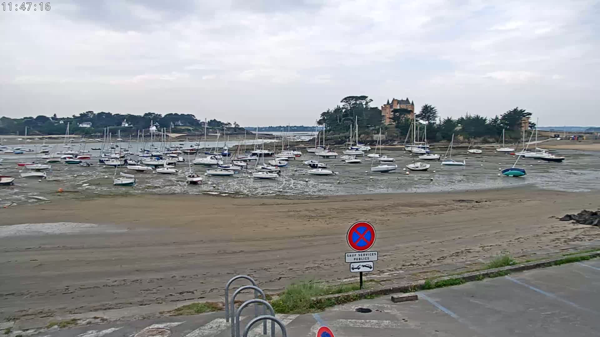 Many sailboats are grounded on a wide, sandy beach at low tide under an overcast sky.