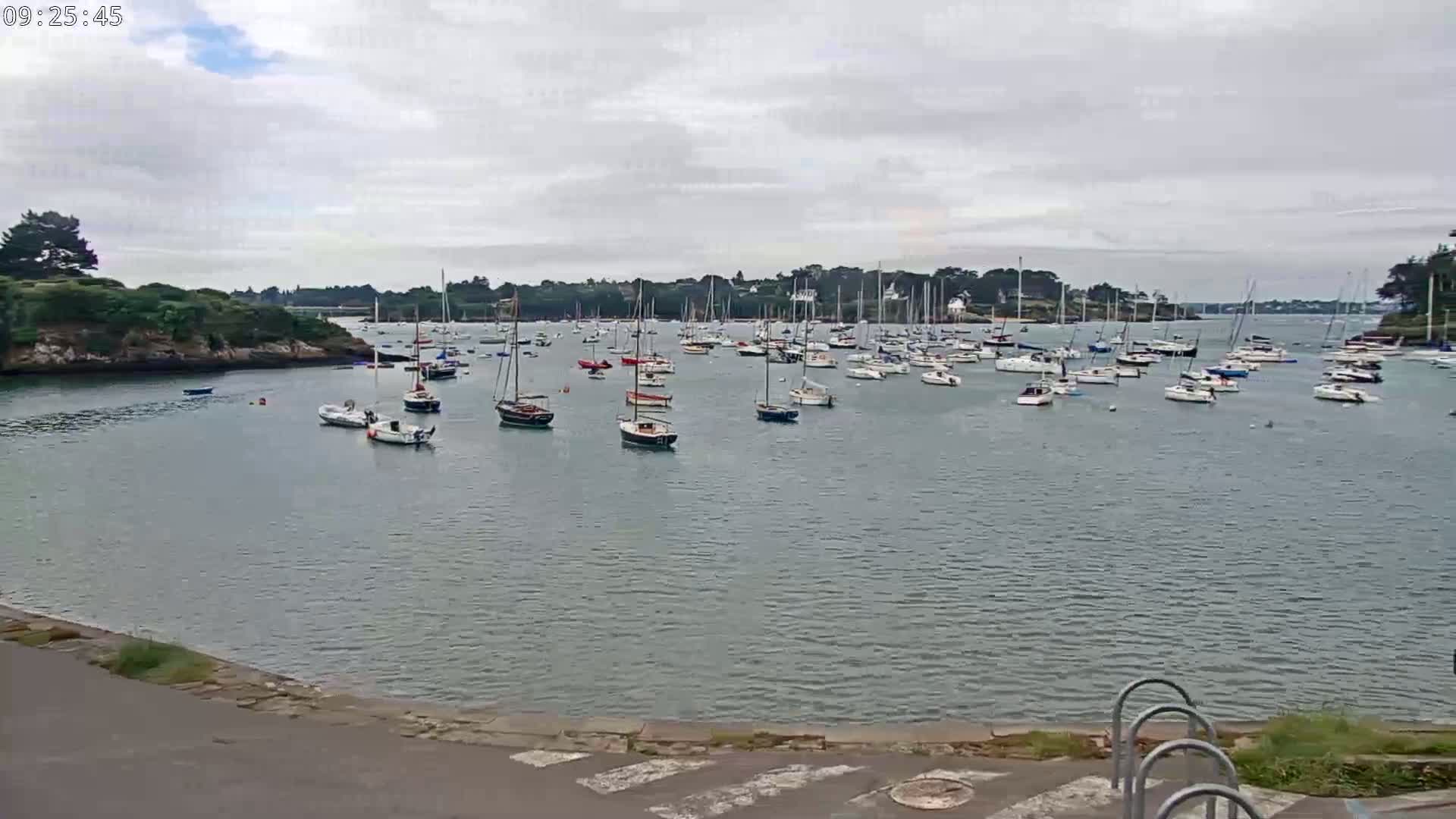 Many sailboats are moored in a calm bay under an overcast sky.