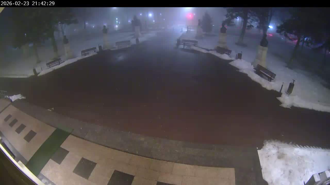 Iaşi, Aleea Mihail Sadoveanu Street & University of Agricultural Sciences and Veterinary Medicine Garden, Iasi Live Cam - Agronomie, Iaşi, Romania