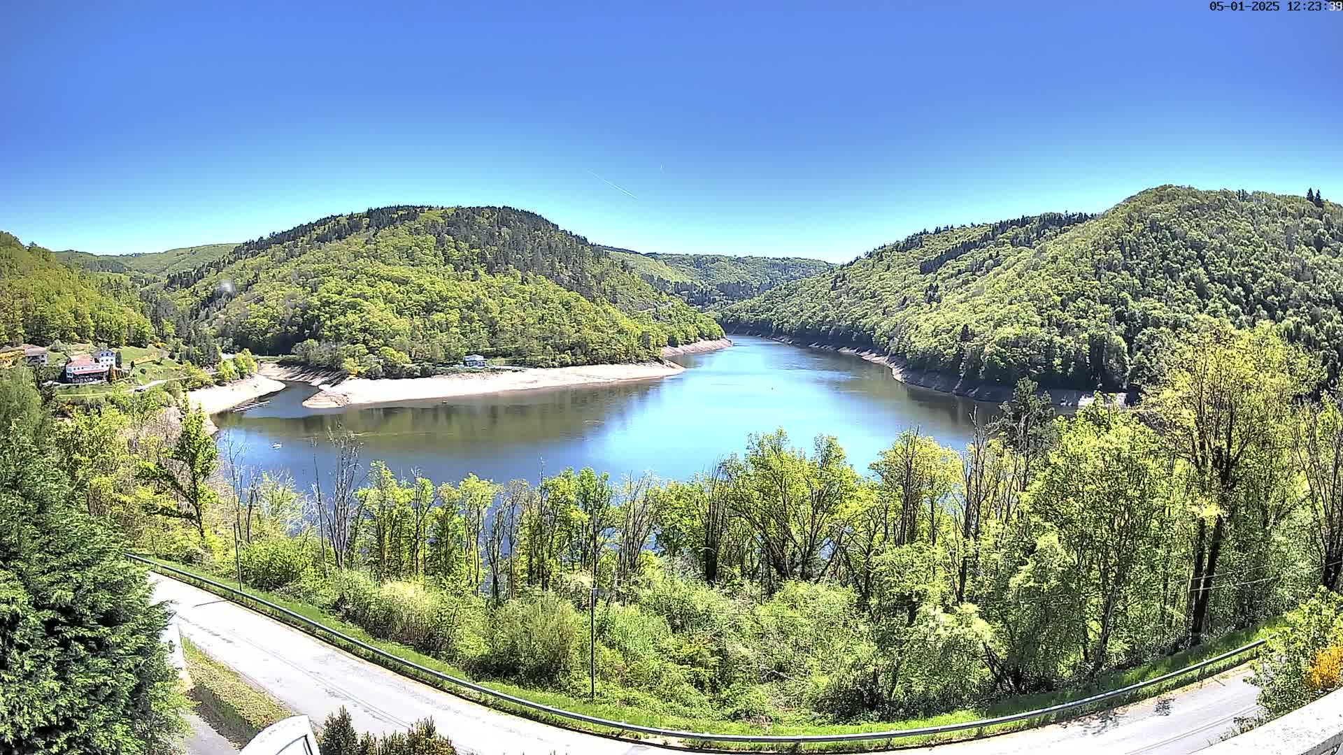 A serene, blue-water reservoir curves through a valley of lush green, leafy trees under a clear blue sky.