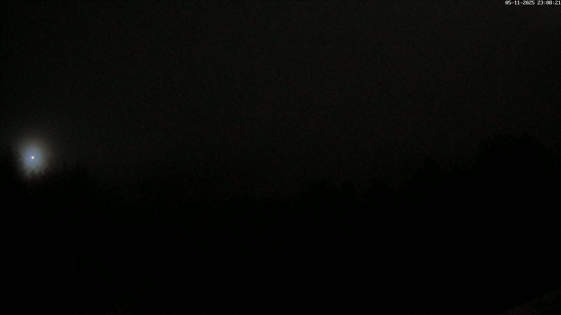 A bright light, possibly the moon, shines in the night sky above a dark, silhouetted line of trees.