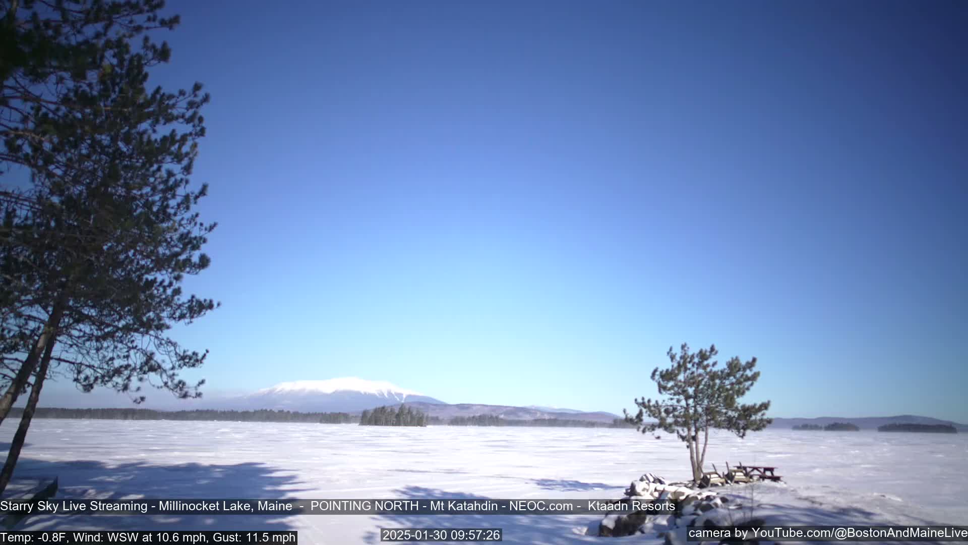 A snow-covered lake stretches to a distant mountain range under a clear blue sky, with two small trees in the foreground.