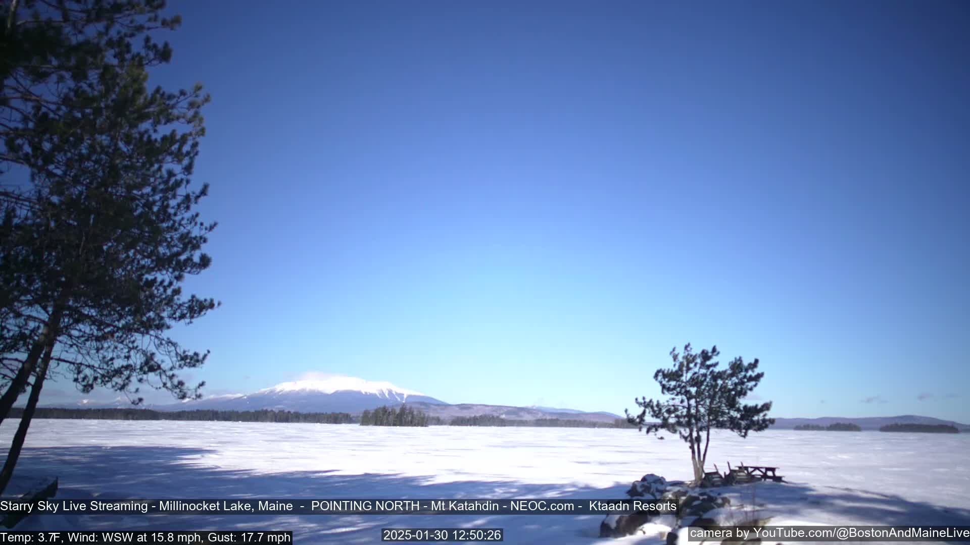 A snow-covered lake stretches to a distant mountain under a clear blue sky, with a few windswept trees in the foreground.