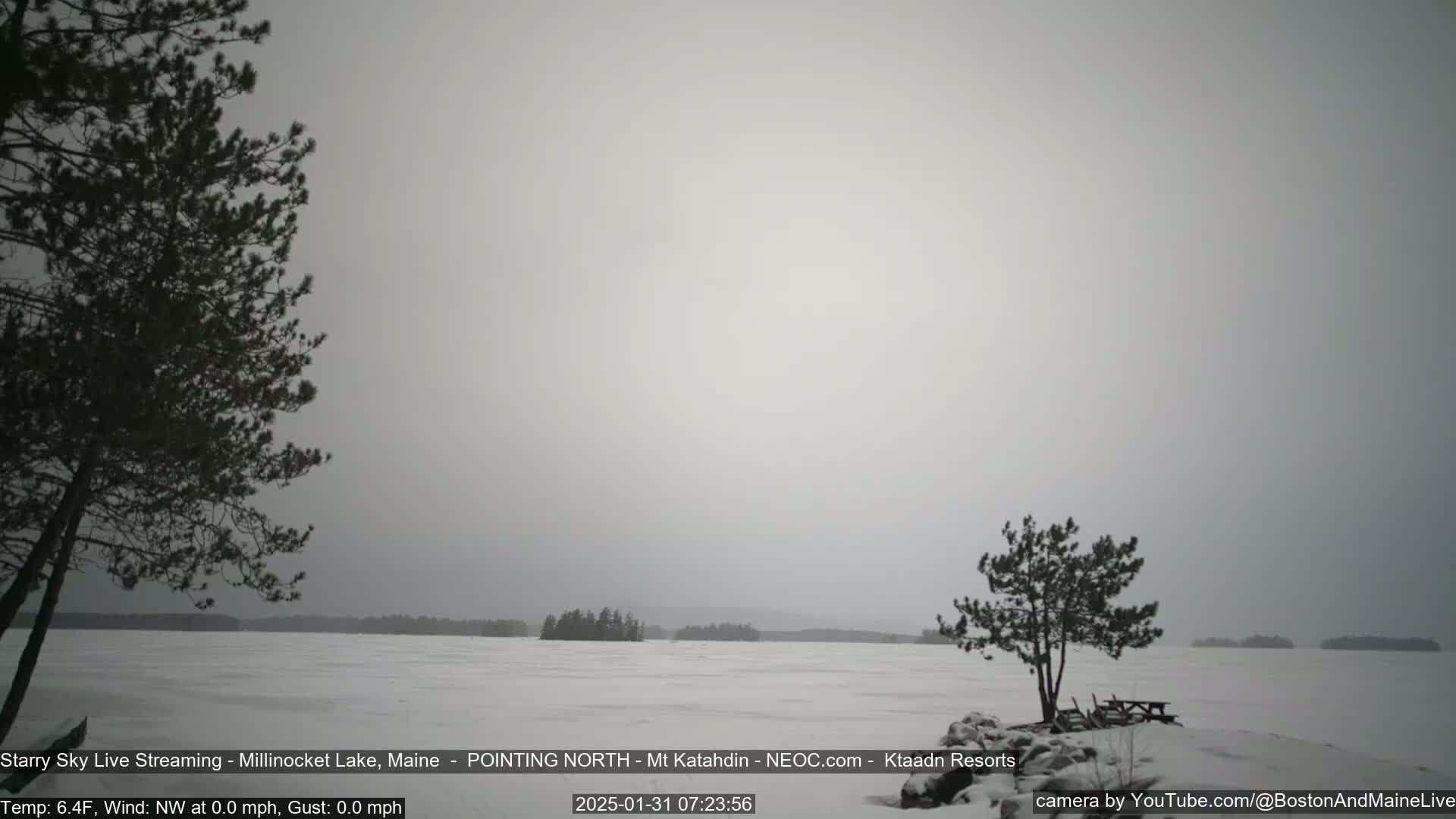 A snow-covered lake stretches to a hazy horizon under a gray sky, with two pine trees in the foreground.