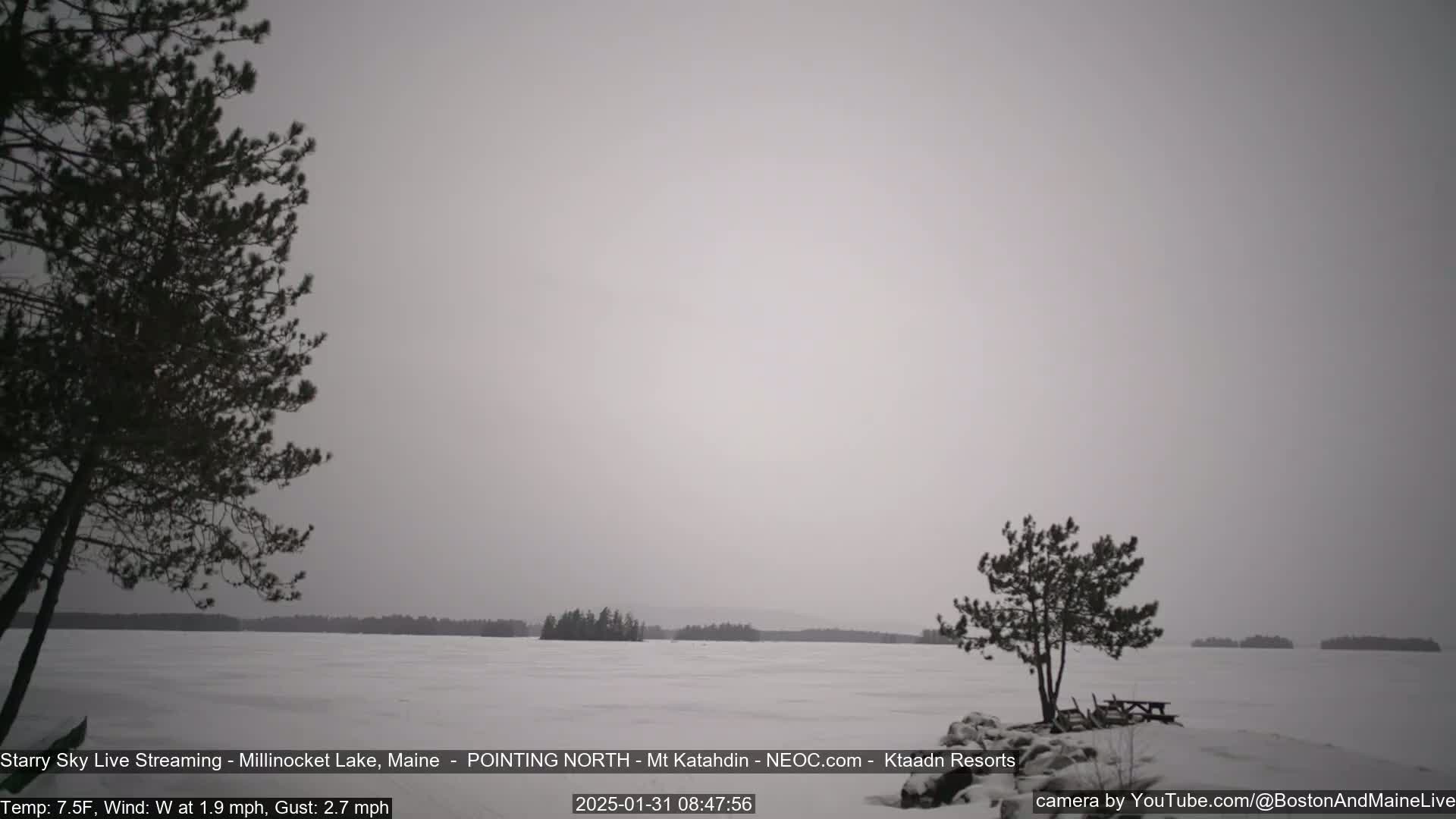 A snow-covered lake stretches to a distant shoreline under a gray, overcast sky, with two lone trees in the foreground.