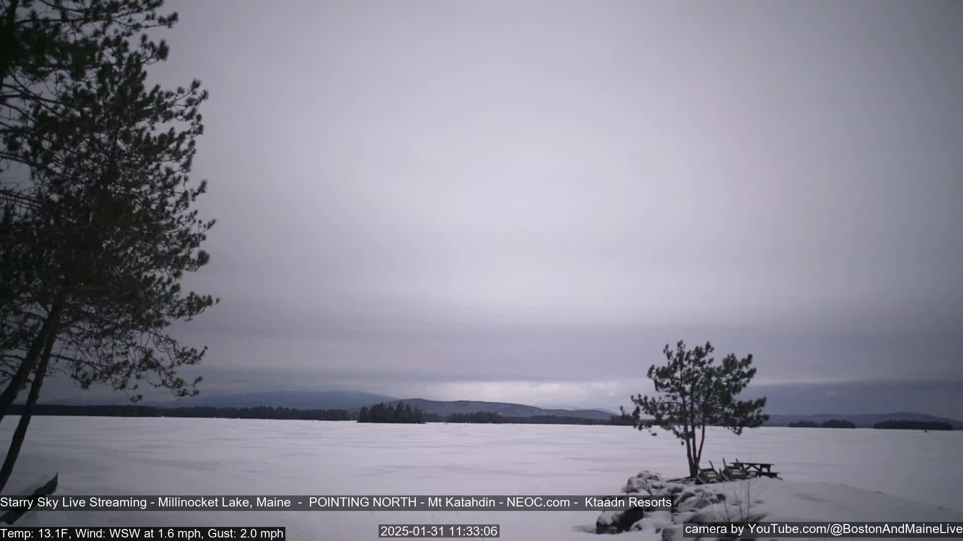 A snow-covered lake stretches to distant, low hills under an overcast sky, with two small pine trees in the foreground.