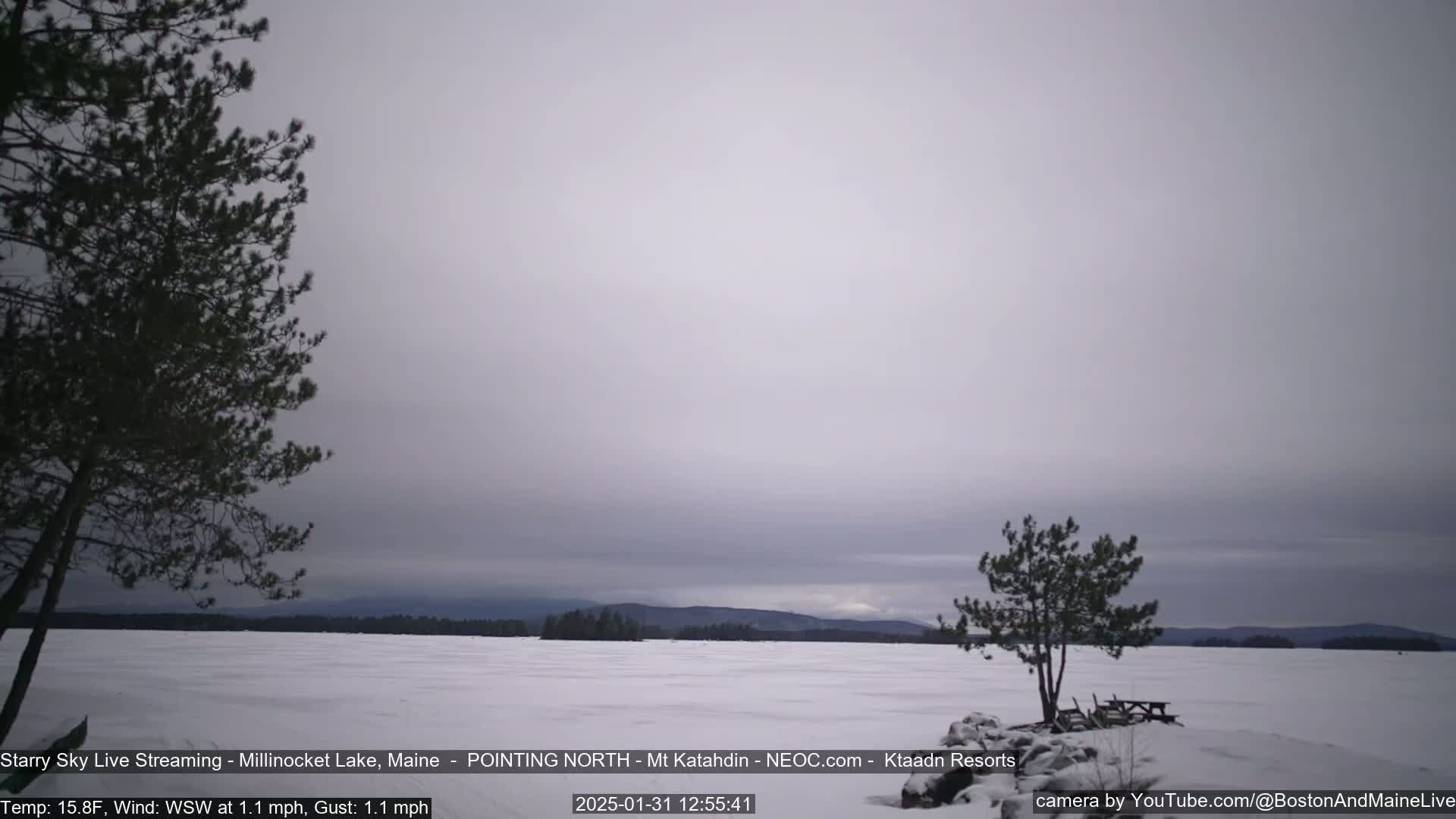 A snow-covered lake is seen under an overcast sky, with a few evergreen trees in the foreground and distant mountains in the background.