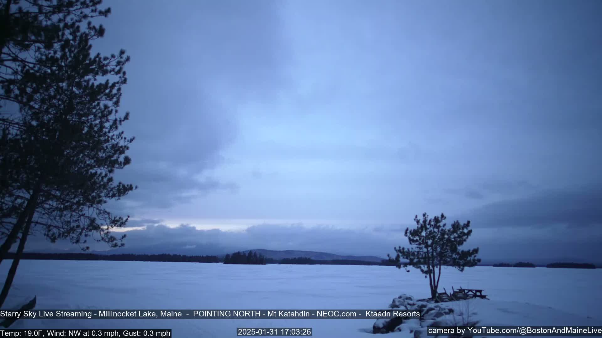 A snow-covered frozen lake is seen at dusk under a mostly cloudy sky, with a few distant trees and two pine trees in the foreground.