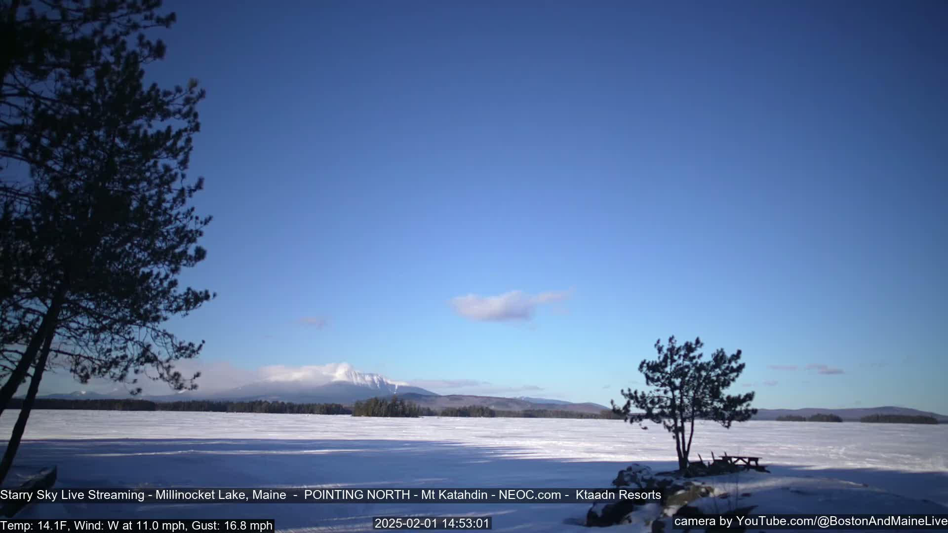 A snow-covered lake stretches to a mountain range under a mostly clear, blue sky, with two silhouetted trees in the foreground.