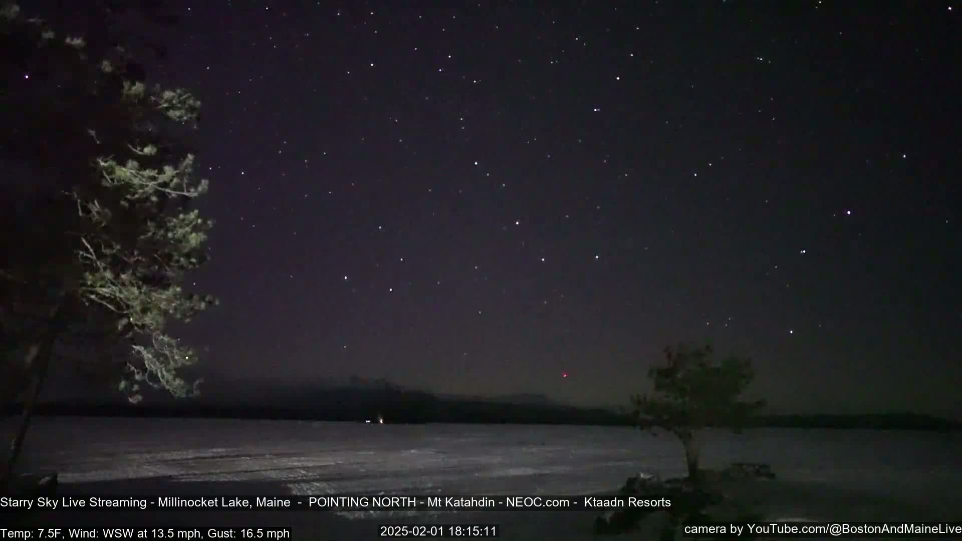 A frozen lake is visible under a dark, starry night sky with a moderate wind; two silhouetted trees stand at either side of the frame.