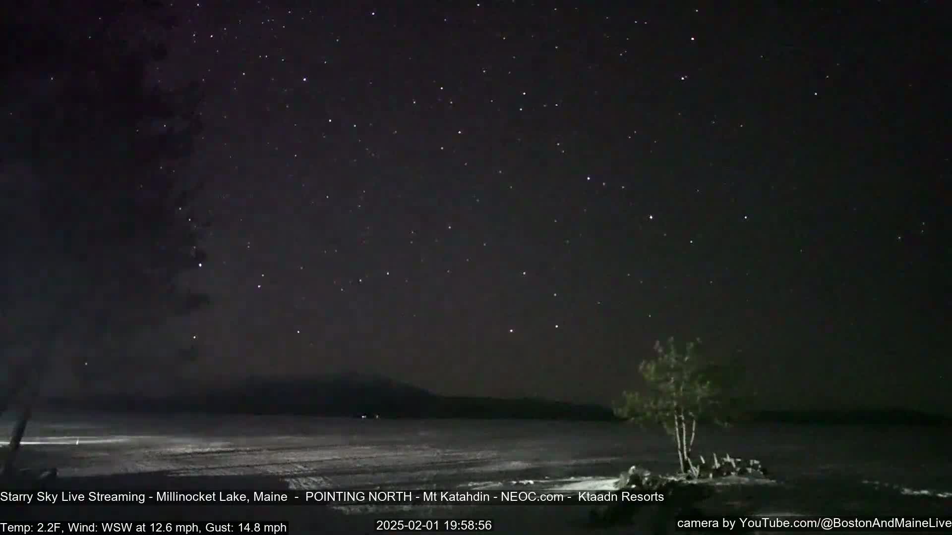 A nighttime view of a calm lake under a clear, starry sky with a lone tree near the water's edge, and a slight wind from the west-southwest.