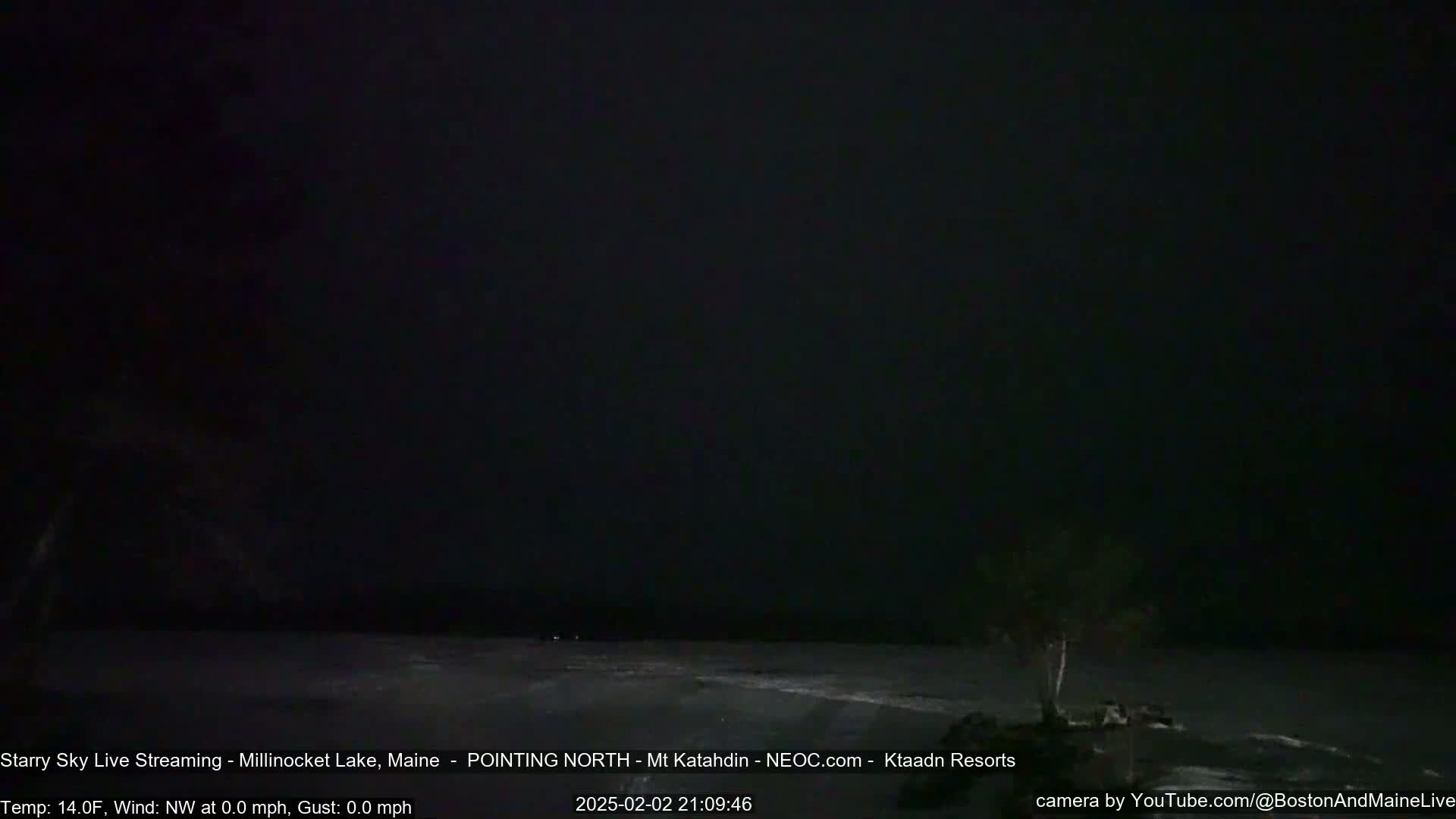 A dark, nighttime view of a lake shore under a clear, starry sky with calm water.