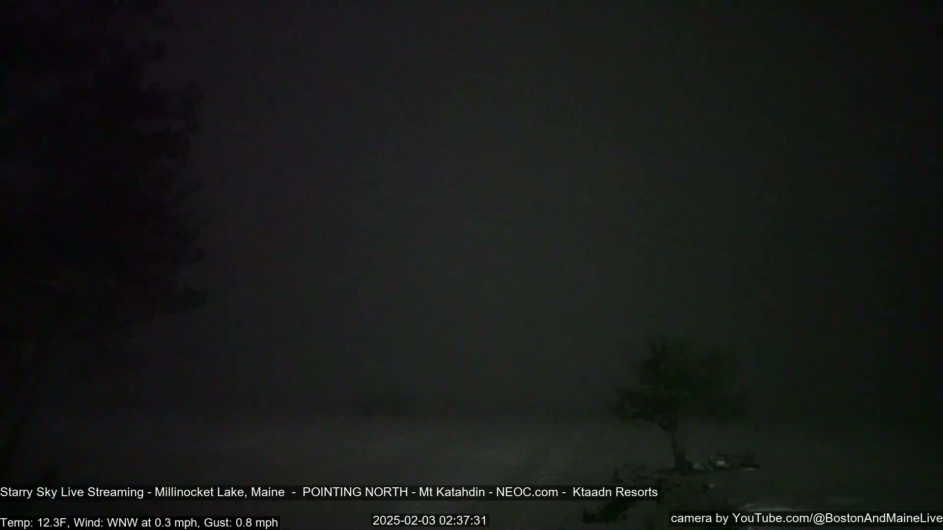 A dark, foggy scene at night shows a lone tree silhouetted against a heavy fog.