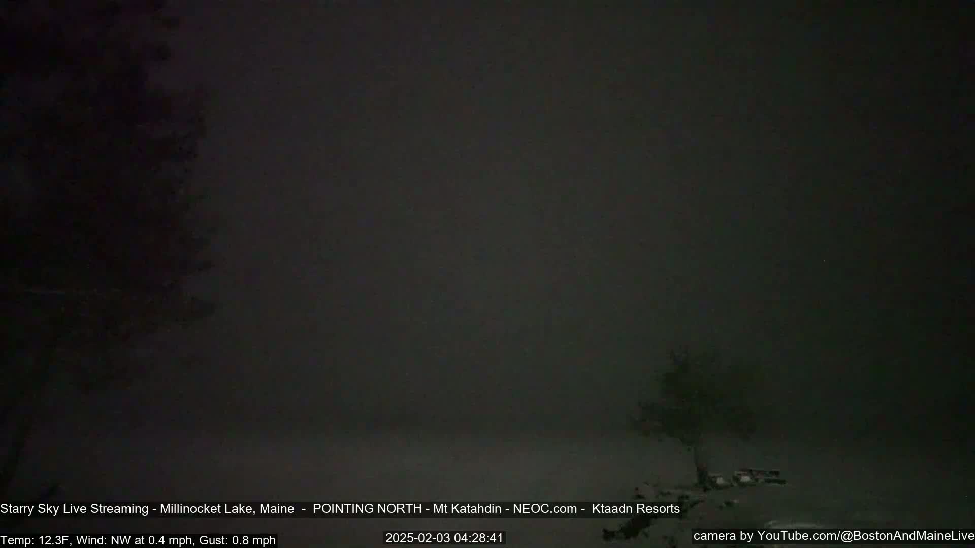 A nighttime scene of heavy snowfall with a few dark trees visible in the foreground.