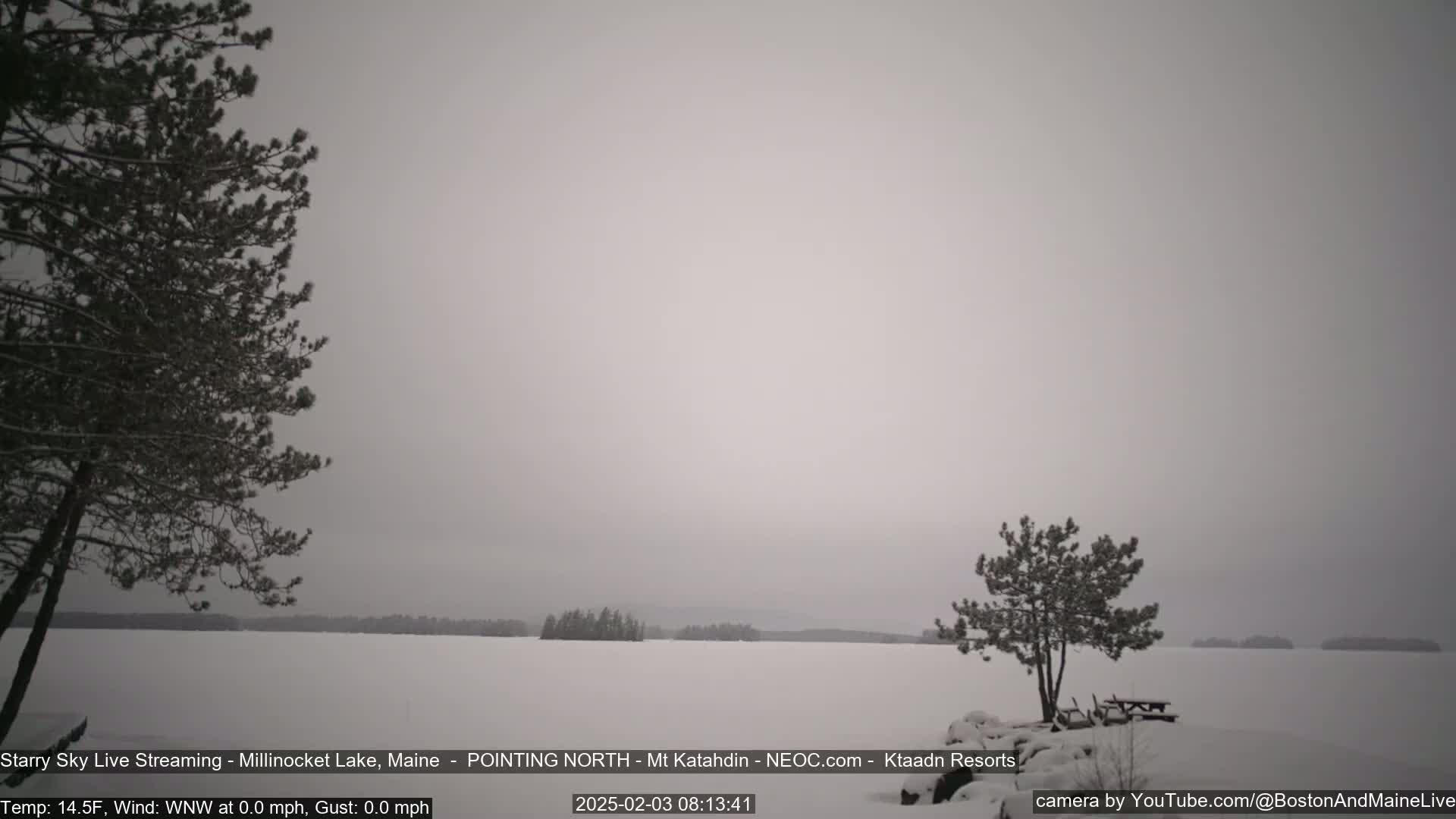 A snow-covered lake is seen from a shoreline with two small evergreen trees, under a gray, overcast sky.