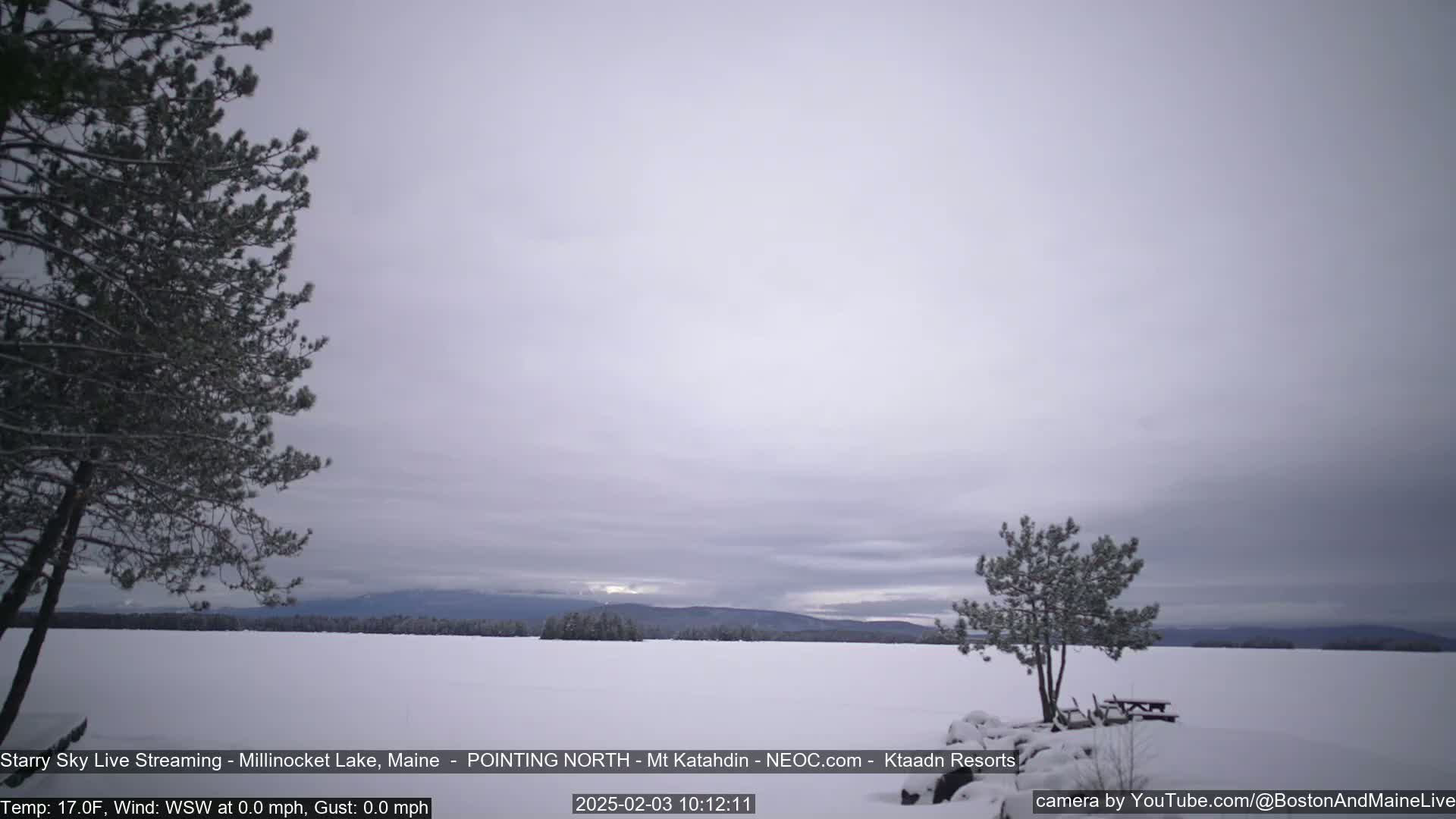 A snow-covered lake is seen under a cloudy sky, with a few snow-dusted trees in the foreground and distant mountains on the horizon.