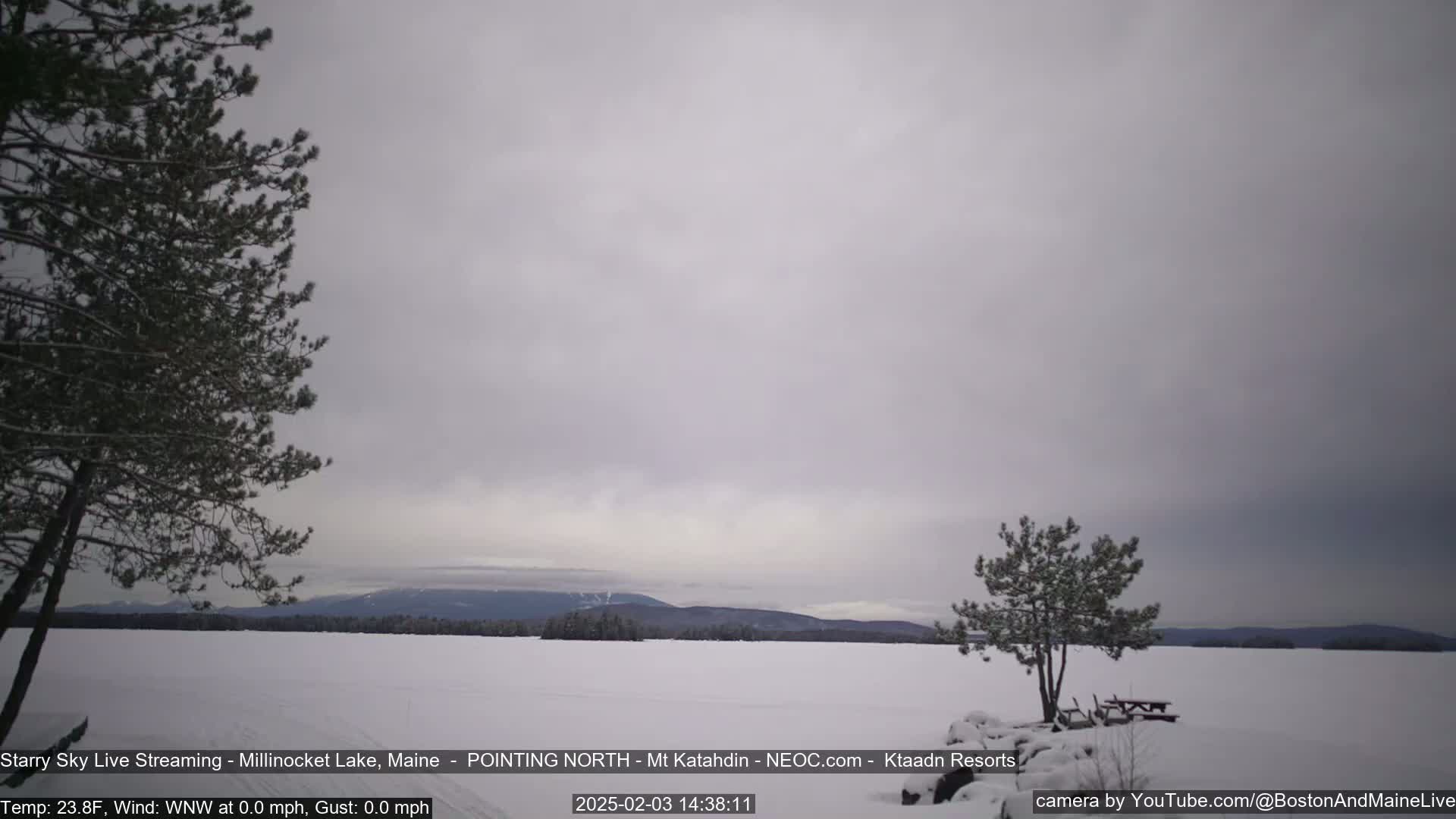 A snow-covered lake is visible under an overcast sky, with a few evergreen trees in the foreground and mountains in the distance.