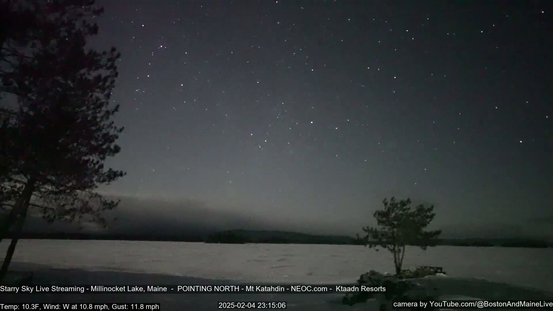 A starry night sky over a snow-covered lake, with a few silhouetted trees and a slight haze on the horizon, under windy, cold conditions.