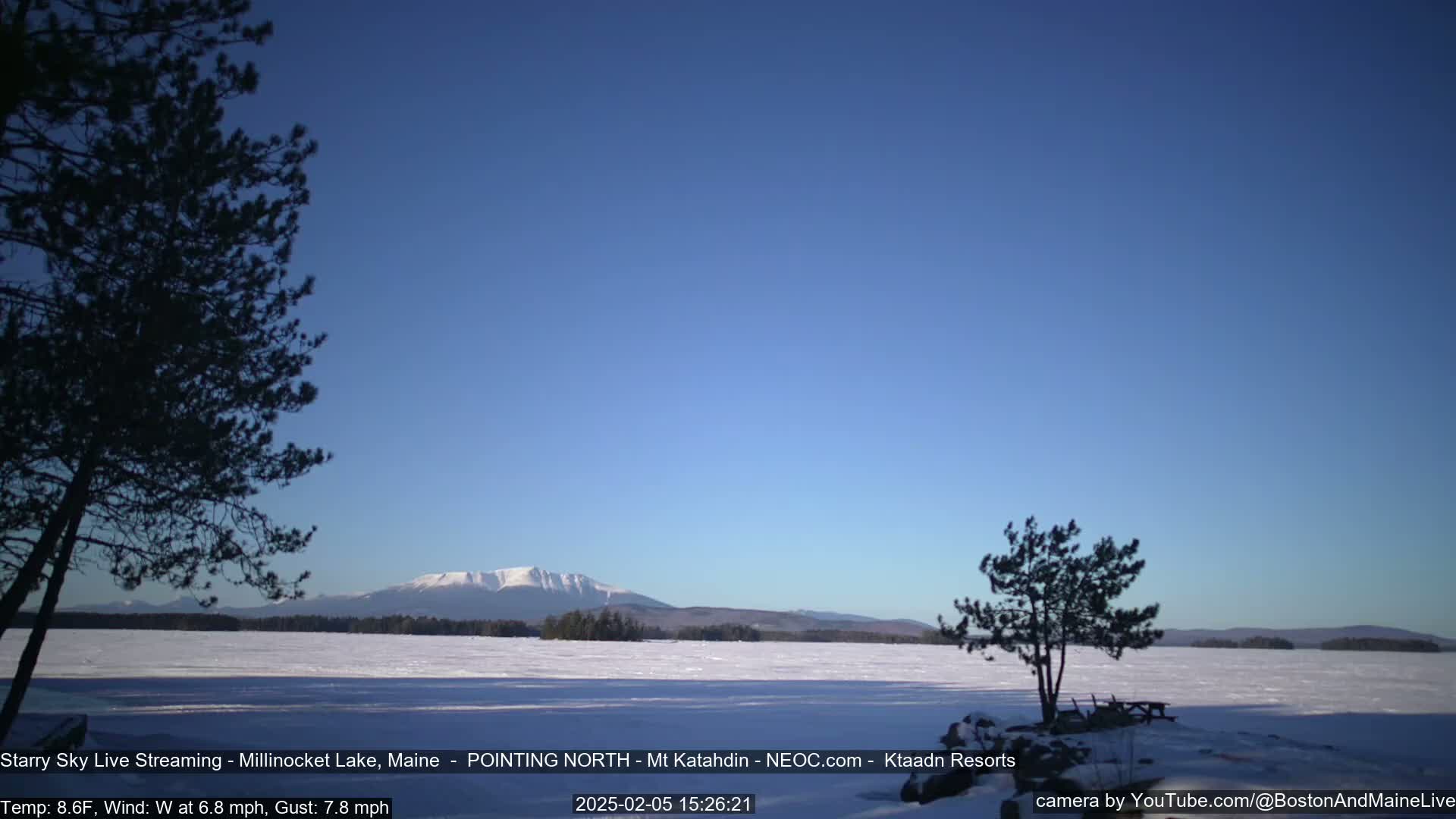 A snow-covered lake stretches to a distant mountain range under a clear blue sky, with a few dark evergreen trees in the foreground.