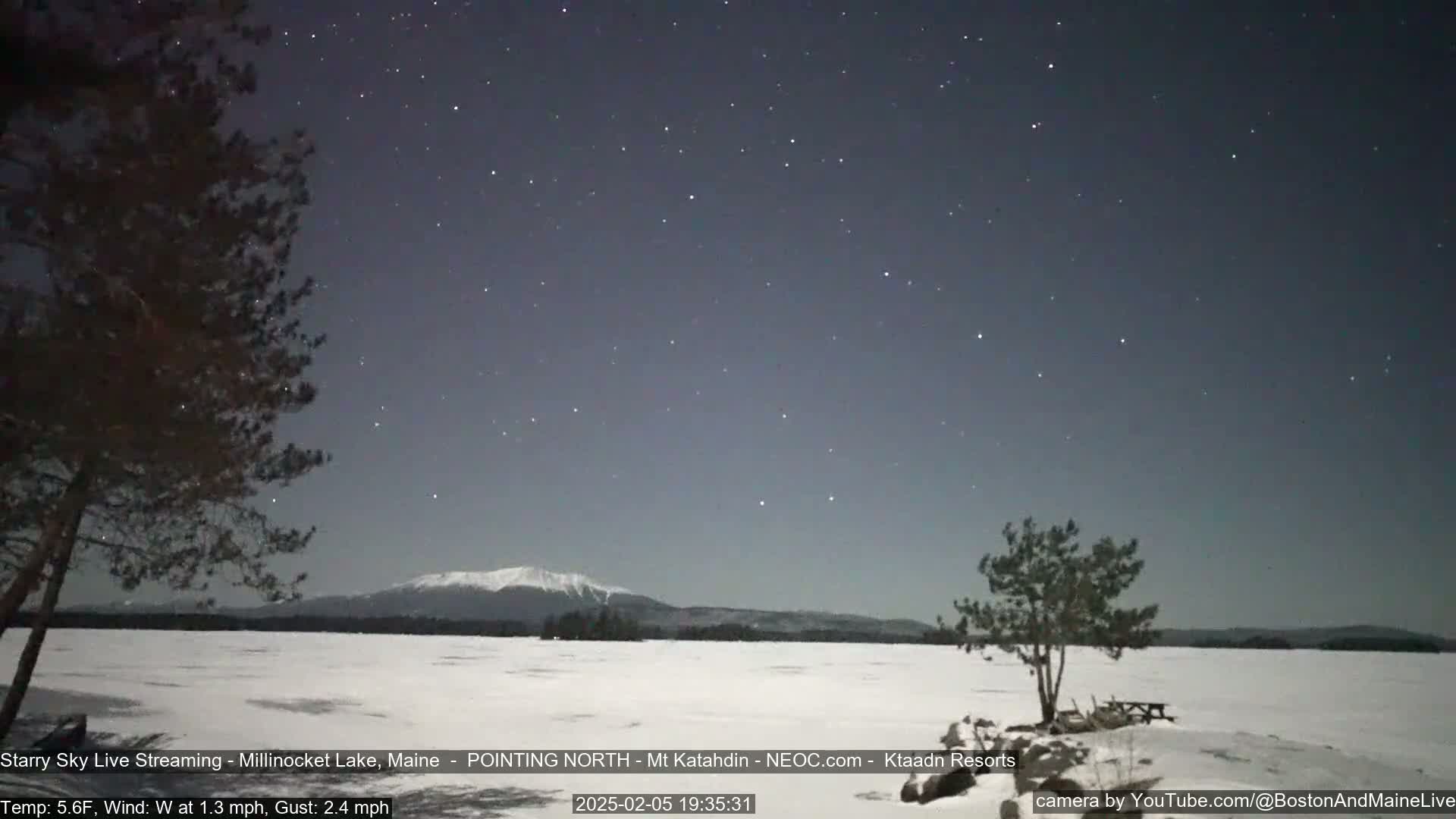 A snow-covered frozen lake is visible under a clear, starry night sky, with a mountain range in the distance and a few trees in the foreground.