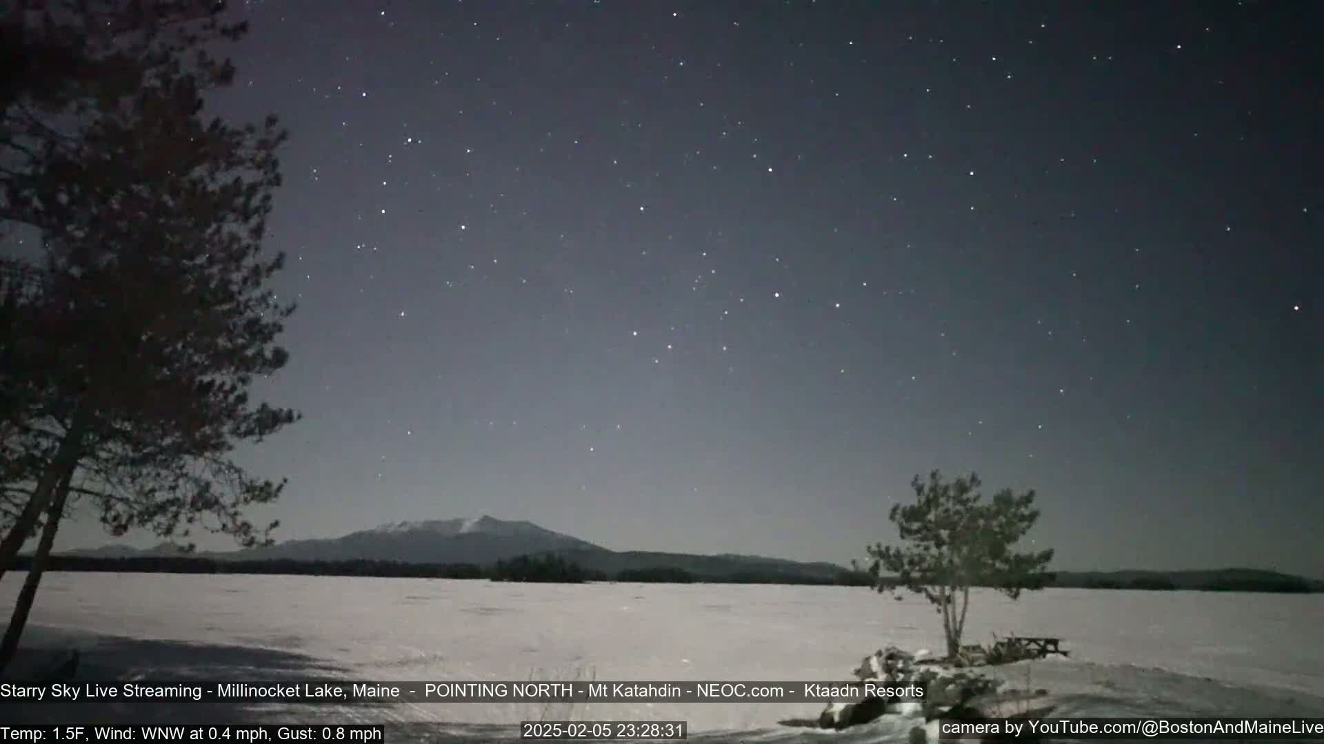 A snow-covered lake stretches out under a clear, starry night sky, with a mountain range visible in the distance, and a few trees silhouetted against the scene.