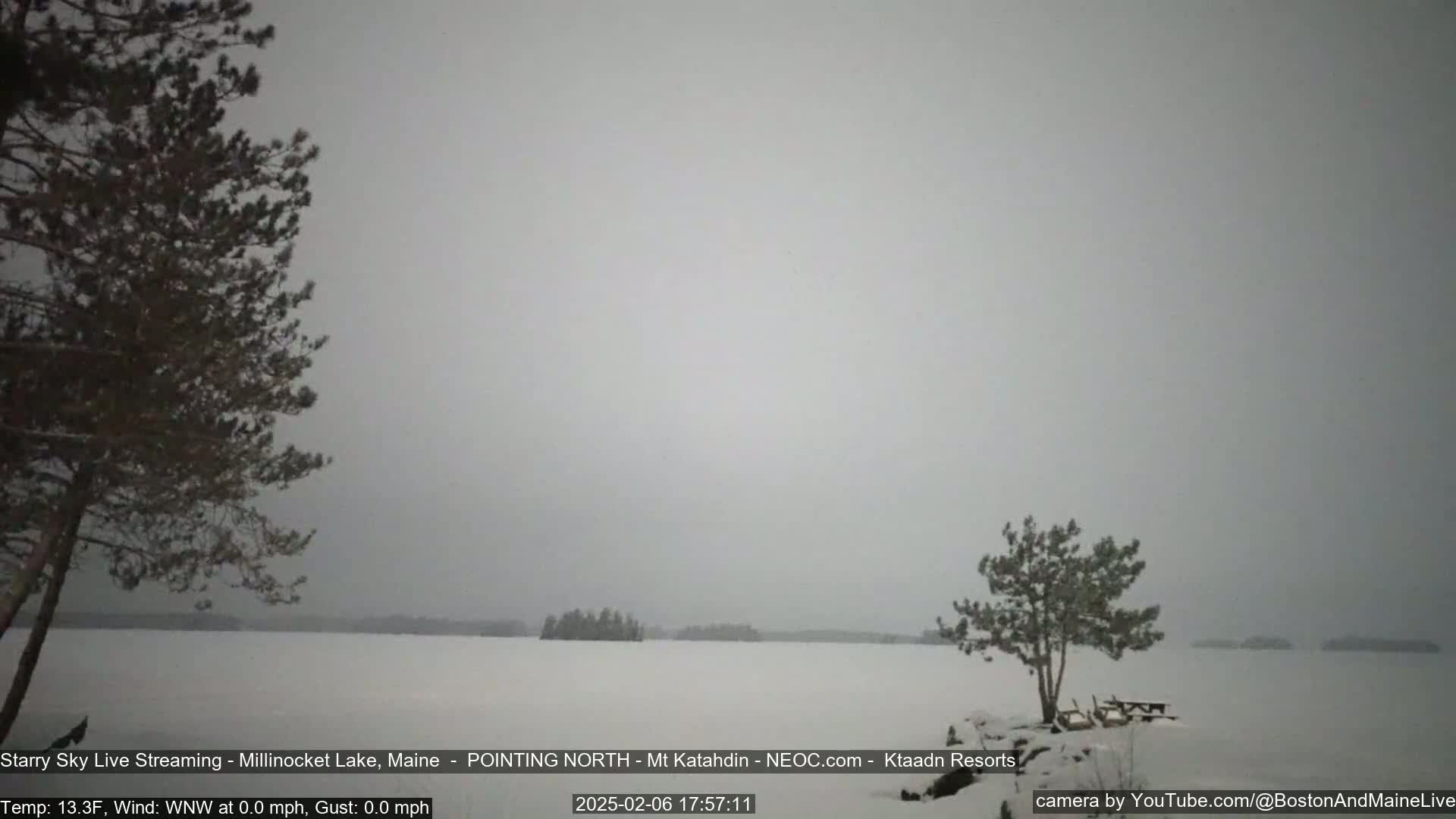 A snow-covered lake is visible through a light snowfall, with dark evergreen trees in the foreground and background.