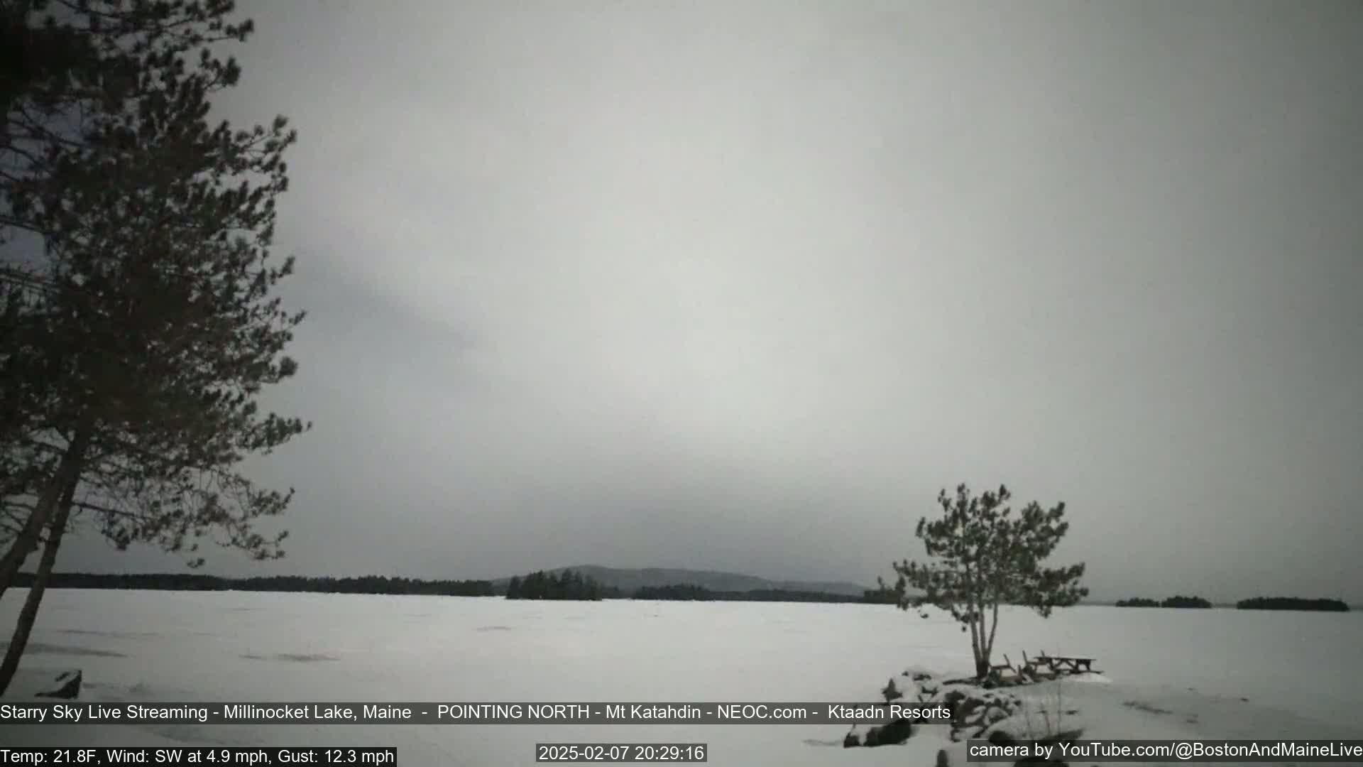 A snow-covered lake is visible under an overcast sky, with a few trees in the foreground and a distant shoreline.
