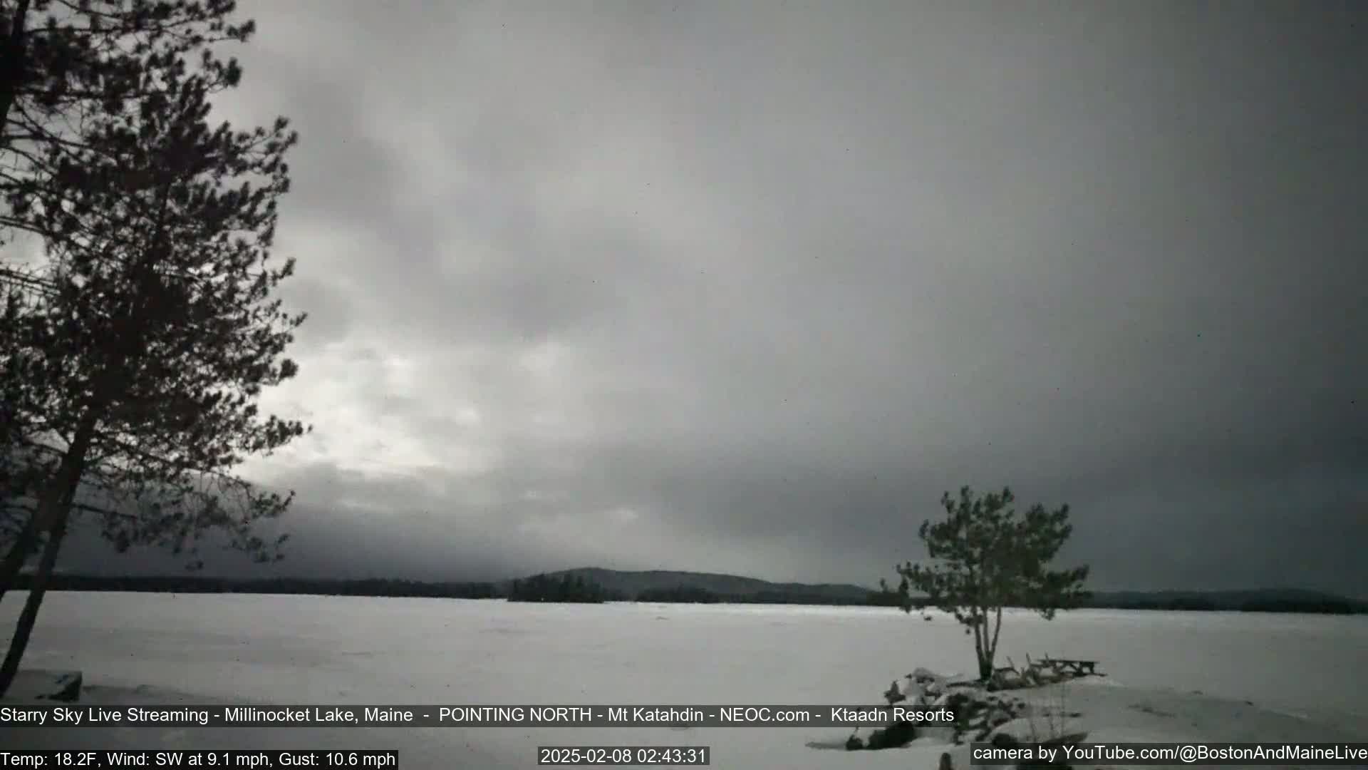 A snow-covered lake is seen under an overcast sky, with two dark evergreen trees in the foreground.