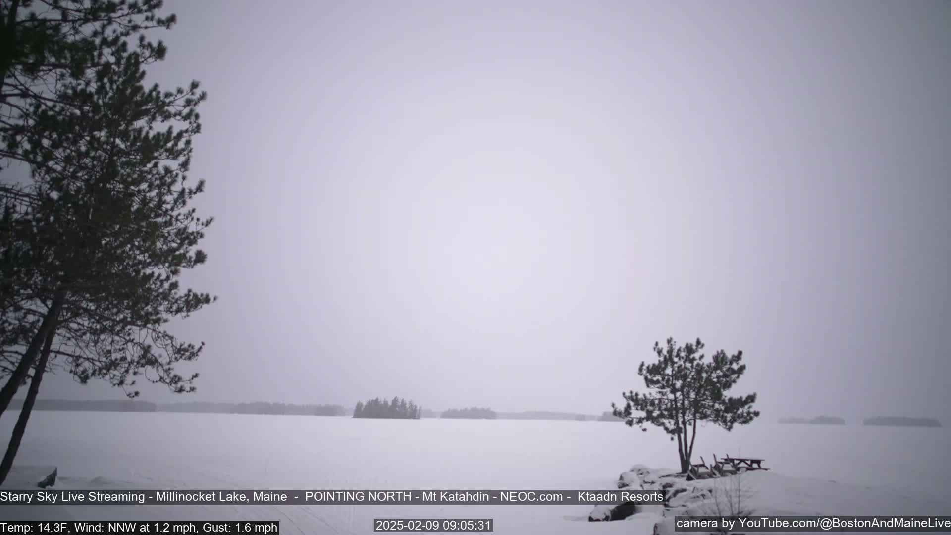 A snow-covered lake with a few small islands in the distance is viewed from a snowy shoreline with two evergreen trees in the foreground under an overcast sky.