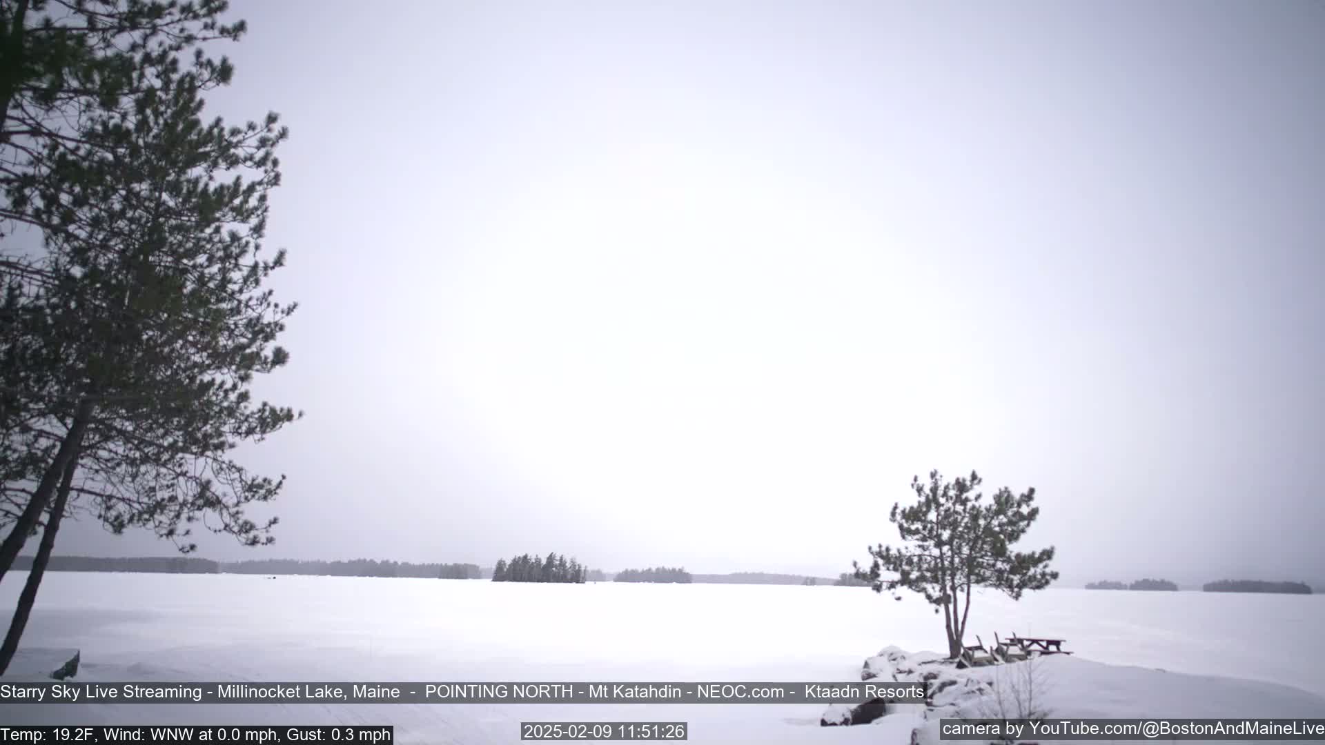 A snow-covered lake stretches to a distant shoreline of dark trees under a cloudy, overcast sky.