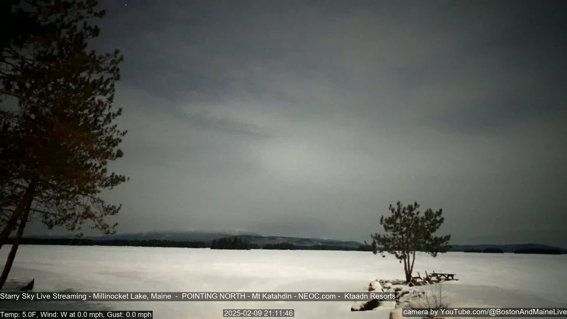 A snow-covered lake is visible under a dark, cloudy night sky, with a few trees in the foreground and distant mountains barely discernible in the background.