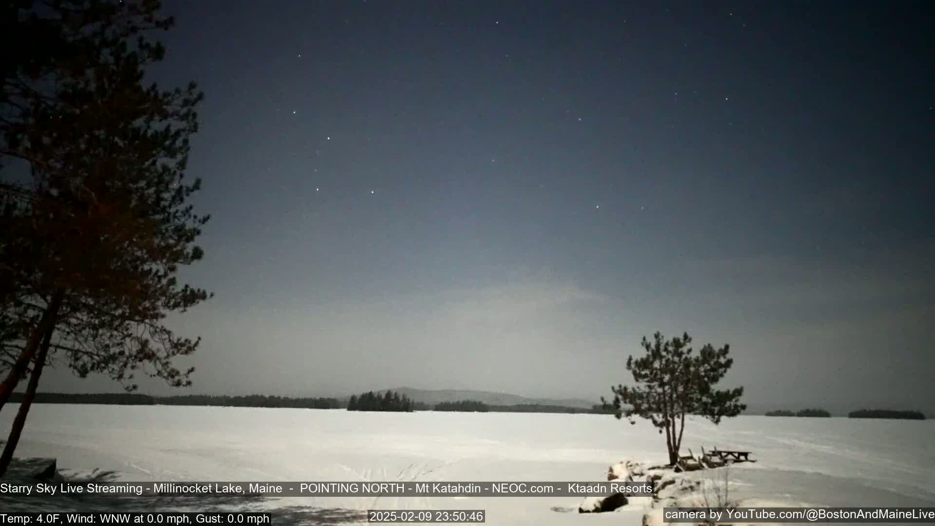 A snow-covered lake is seen under a starry night sky, with two dark pine trees in the foreground.