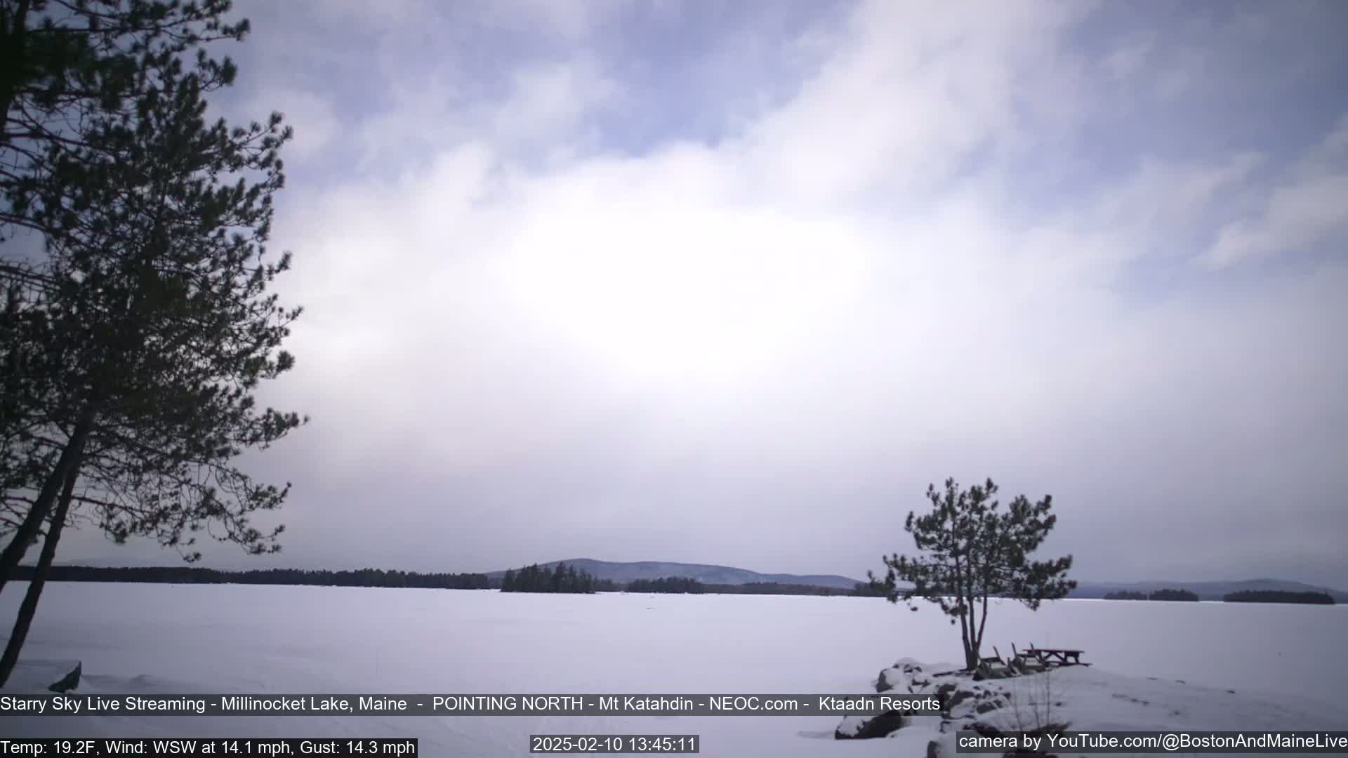 A snow-covered lake is seen under a cloudy, light gray sky, with a few dark evergreen trees in the foreground and background.