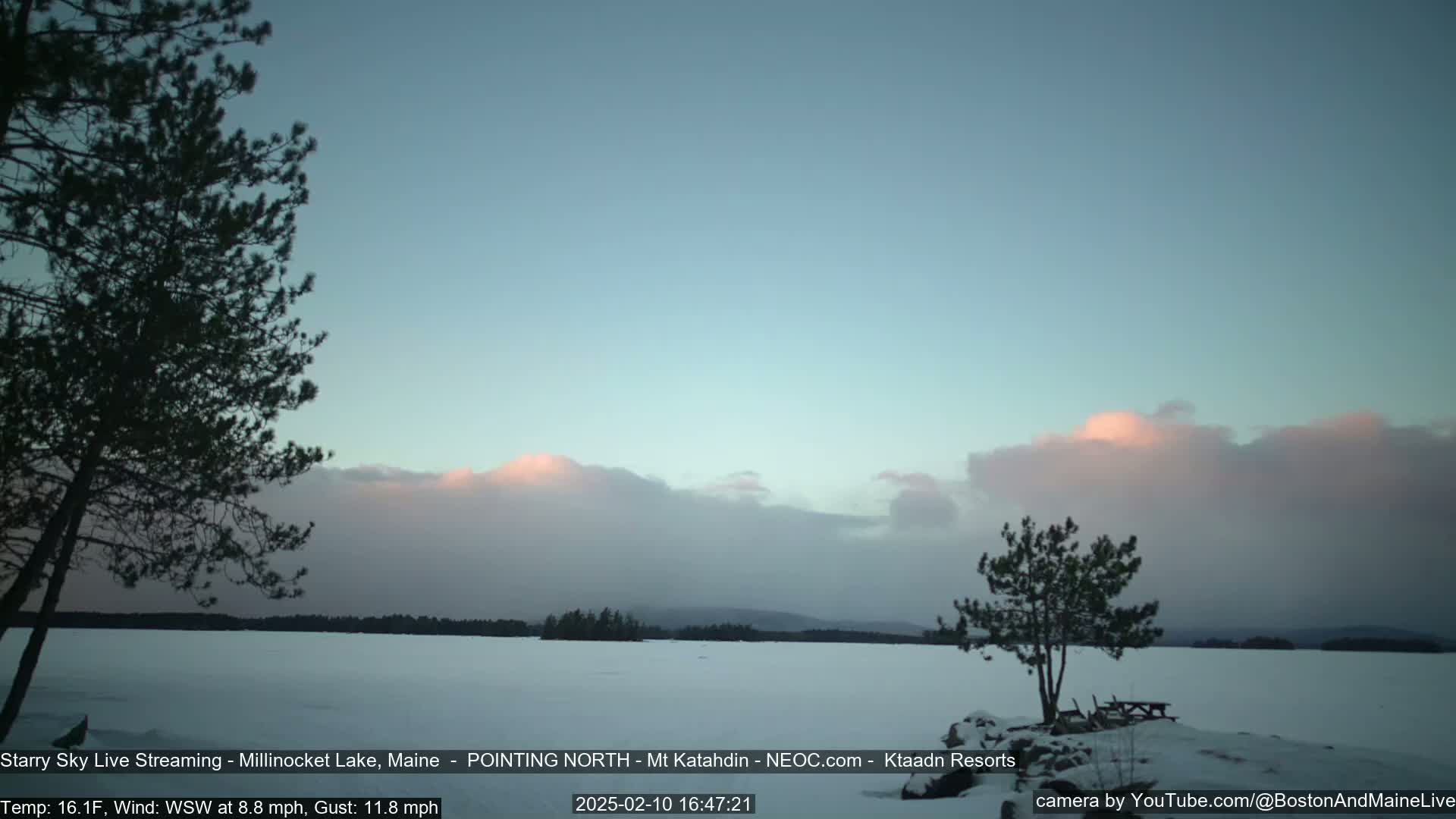 A snow-covered lake is viewed from the shore under a partly cloudy sky with pink-hued clouds at the horizon, and two pine trees stand near a picnic table in the foreground.