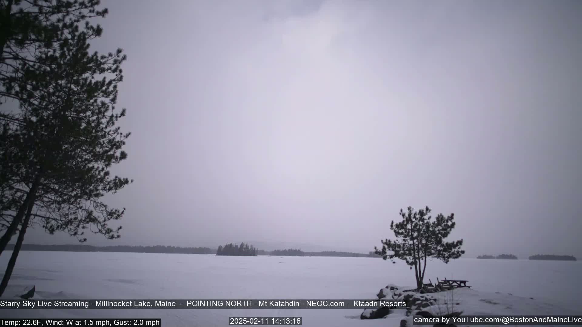 A snow-covered frozen lake is viewed from a shoreline with a few evergreen trees under an overcast sky.
