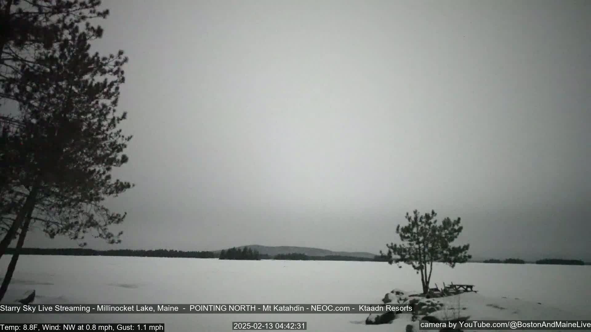 A snow-covered lake is seen under an overcast sky, with a few dark evergreen trees in the foreground and a distant shoreline.