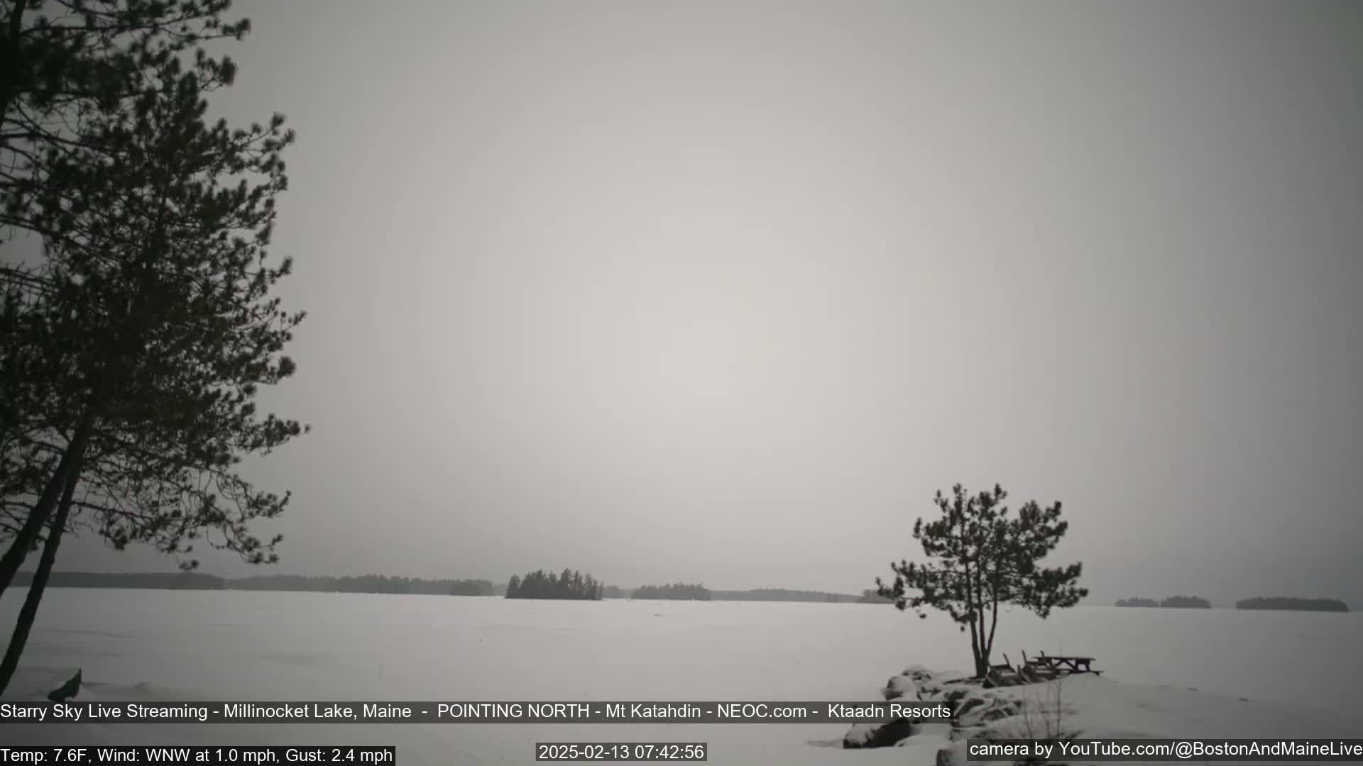 A snow-covered lake is seen from a snowy shoreline with two pine trees in the foreground under an overcast sky.