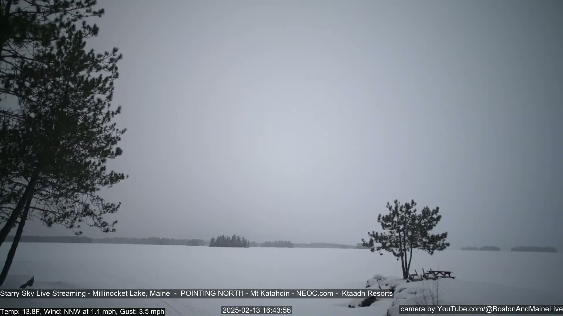 A snow-covered lake is seen under an overcast sky, with dark evergreen trees on either side of the foreground and a small picnic table near the right-hand tree.