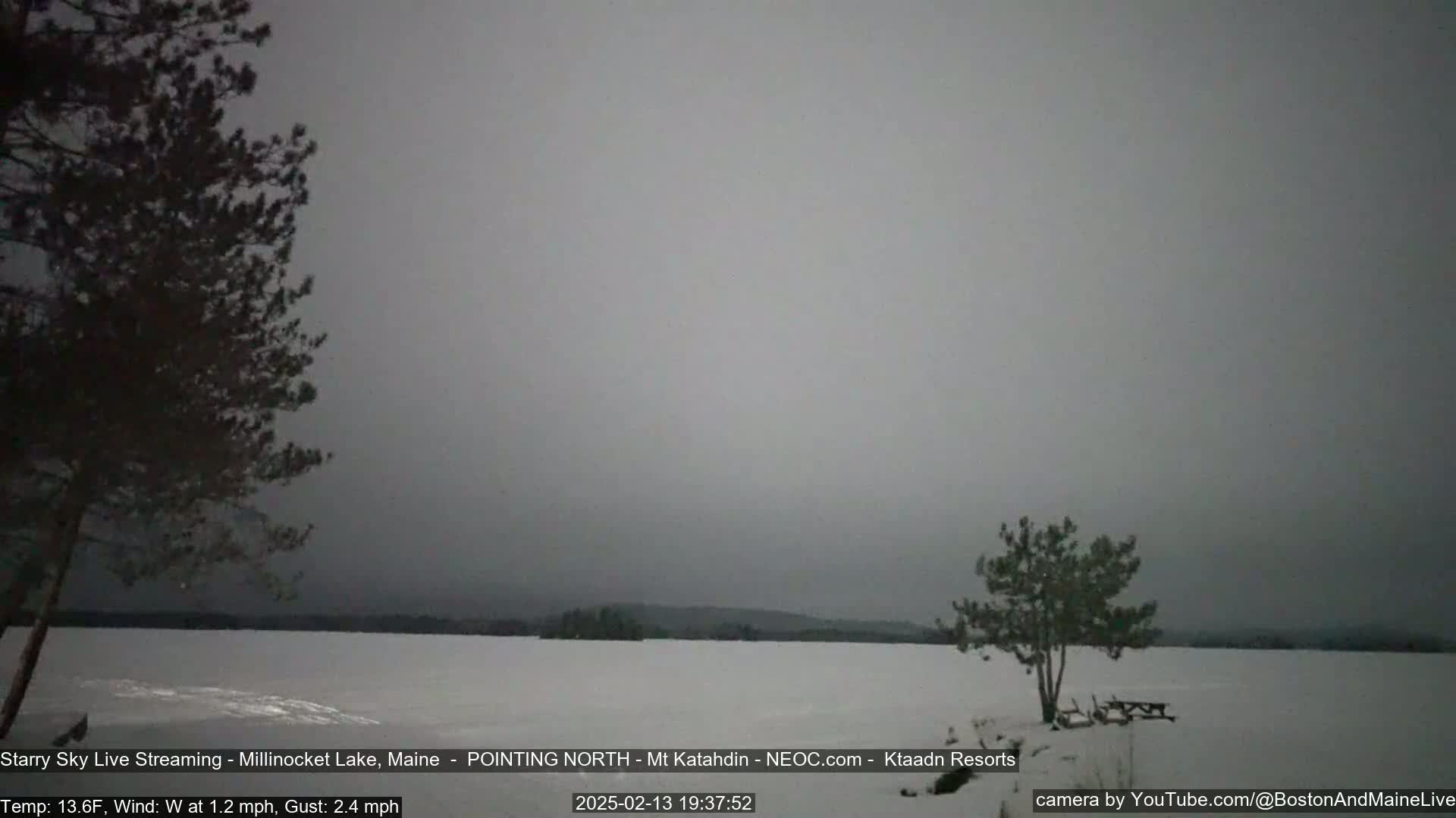 A snow-covered lake is visible under an overcast sky, with a few sparsely-leafed trees and a picnic table in the foreground.
