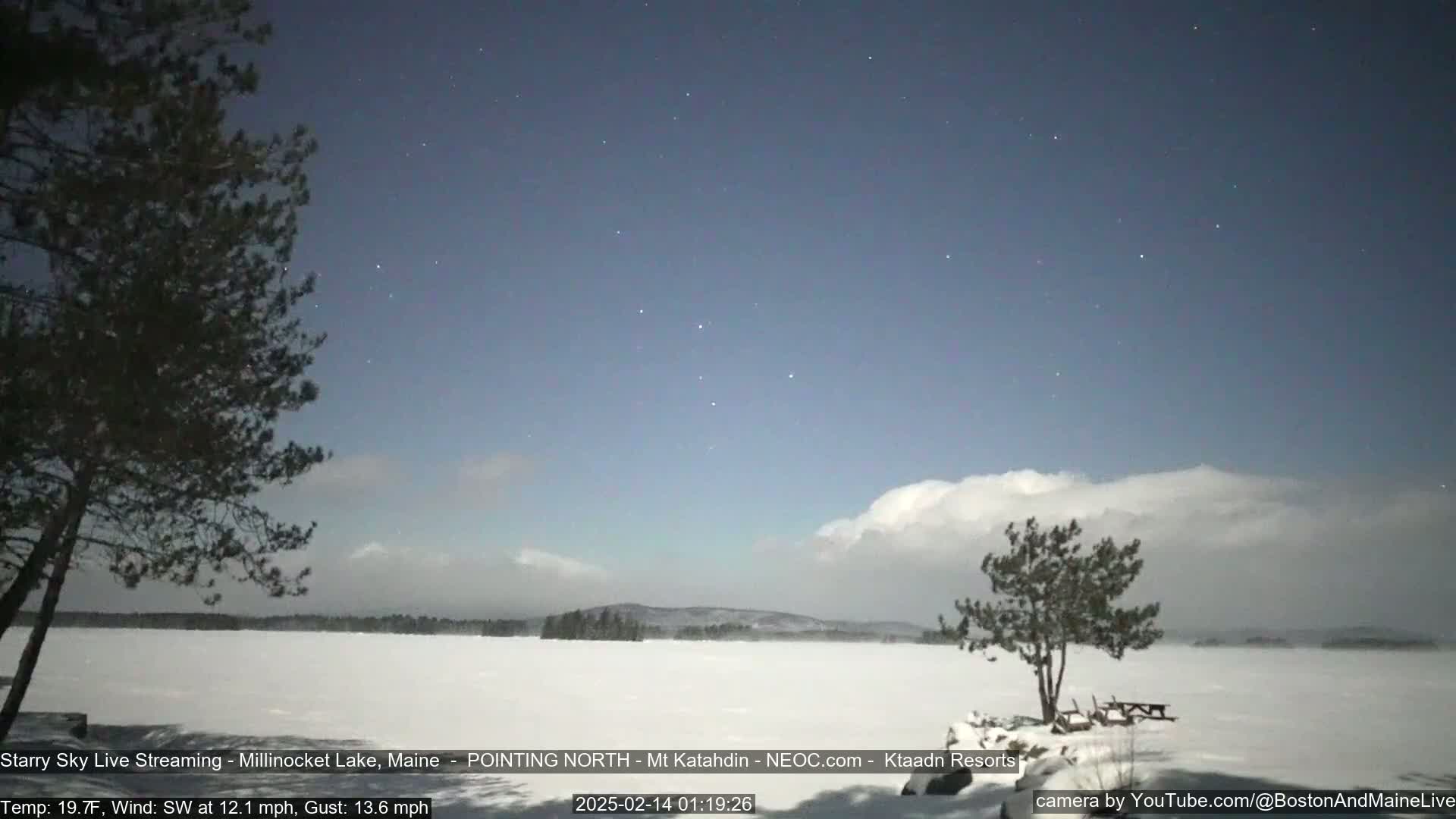A snow-covered lake is seen under a mostly clear night sky with some clouds and stars, two evergreen trees stand on the shoreline, with a light wind blowing.